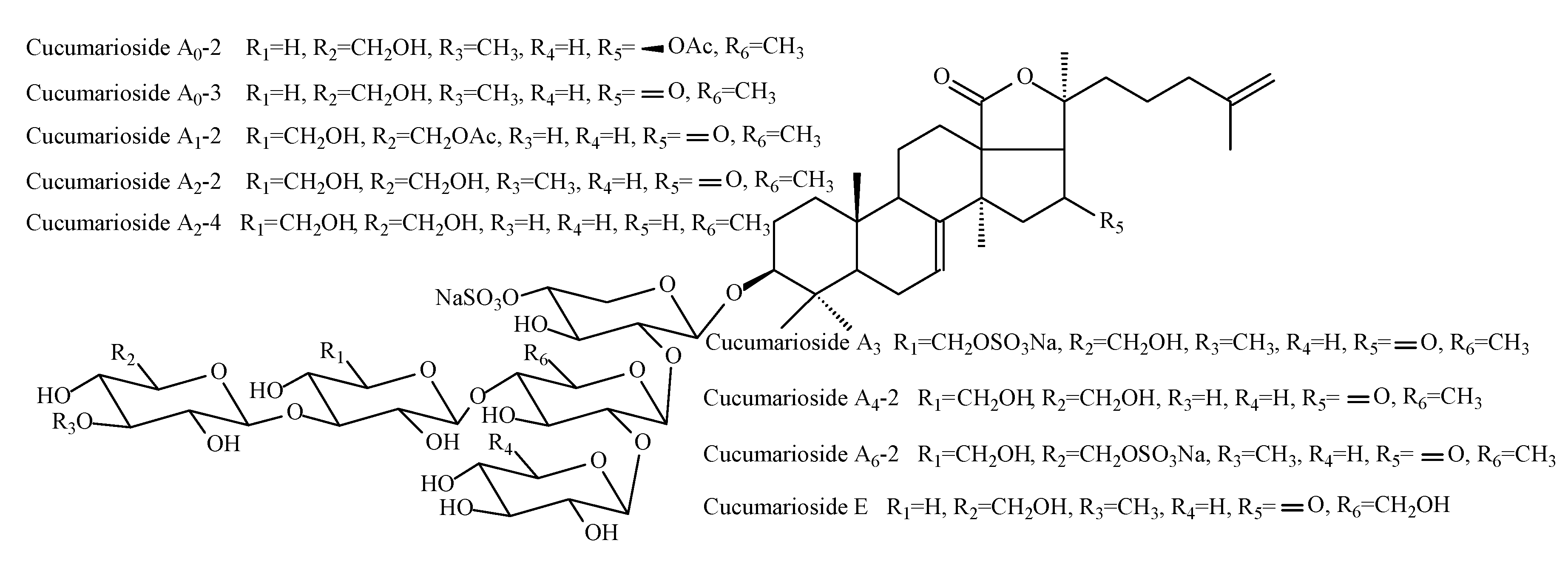 Molecules 25 04088 g001 Molecules 25 04088 g001
