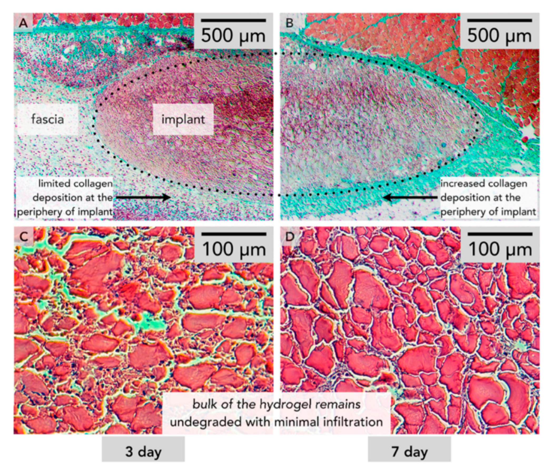 Molecules 25 04090 g007 Molecules 25 04090 g007