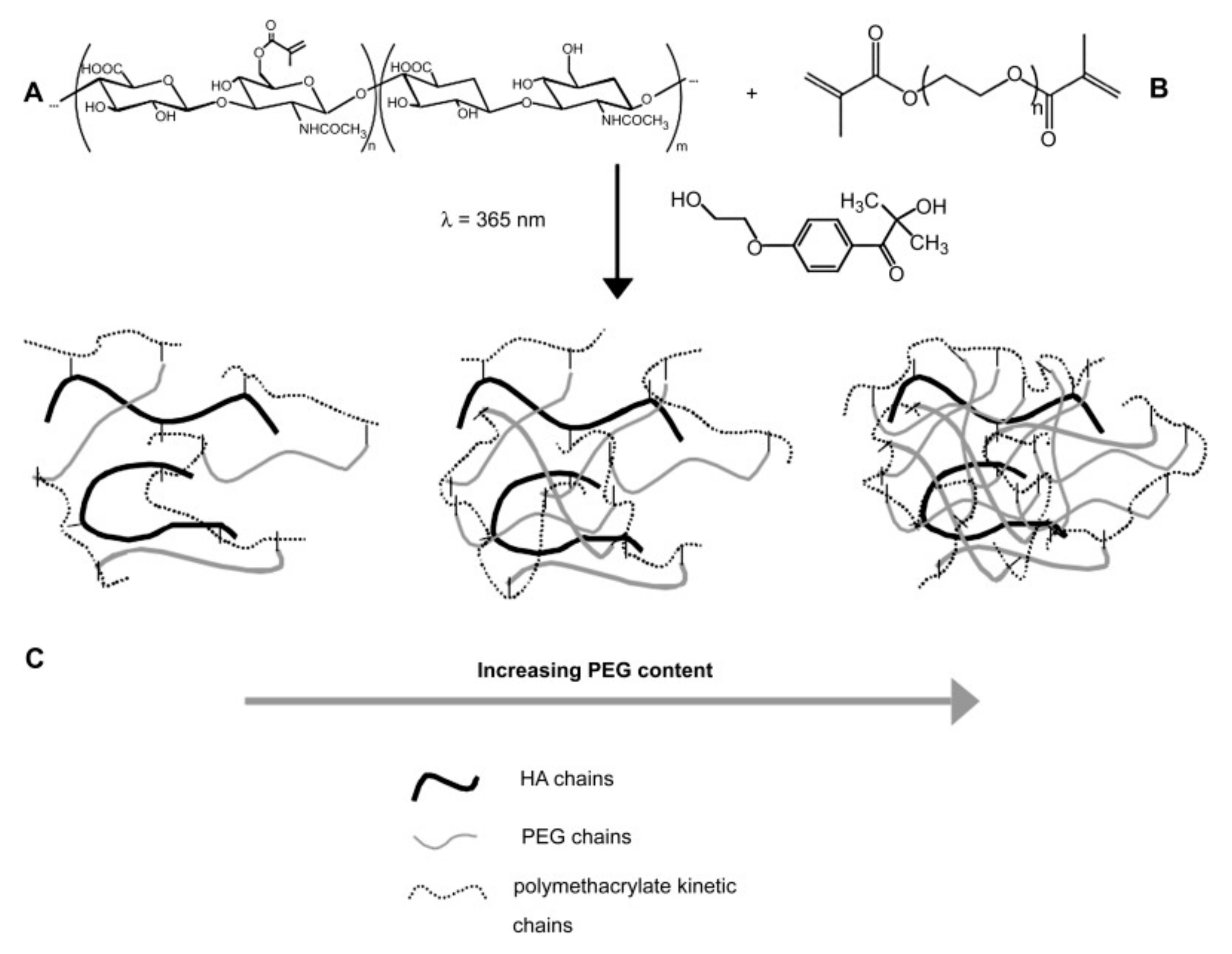 Molecules 25 04090 g008 Molecules 25 04090 g008