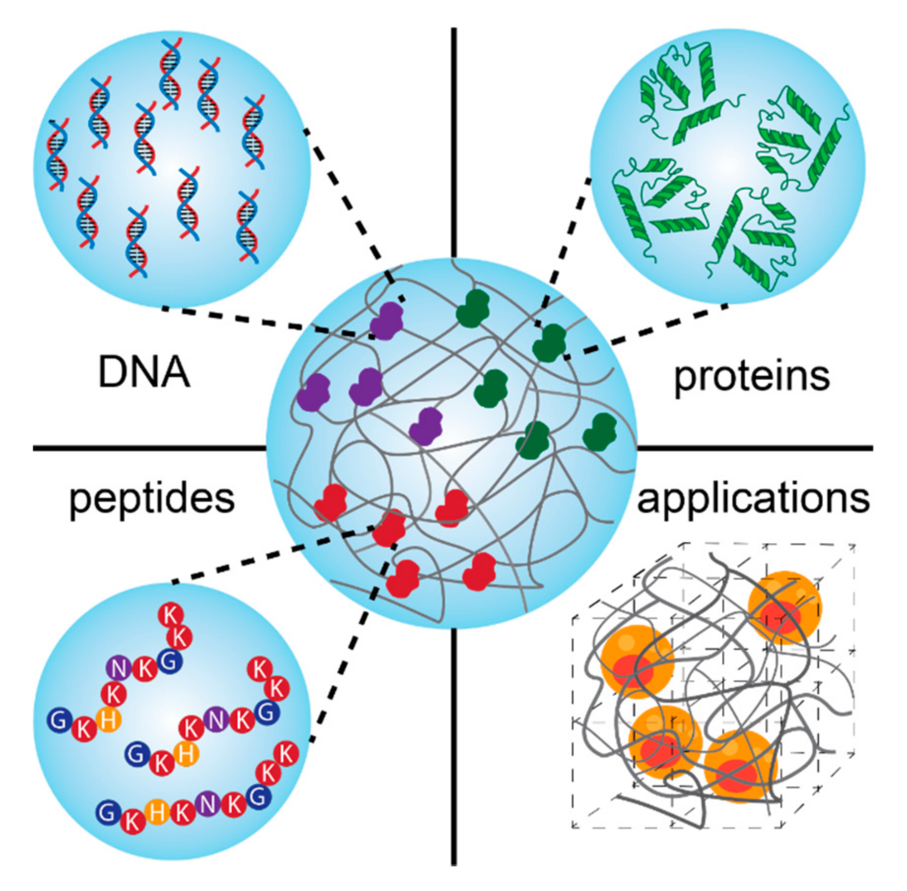 Molecules 25 04090 sch001 Molecules 25 04090 sch001