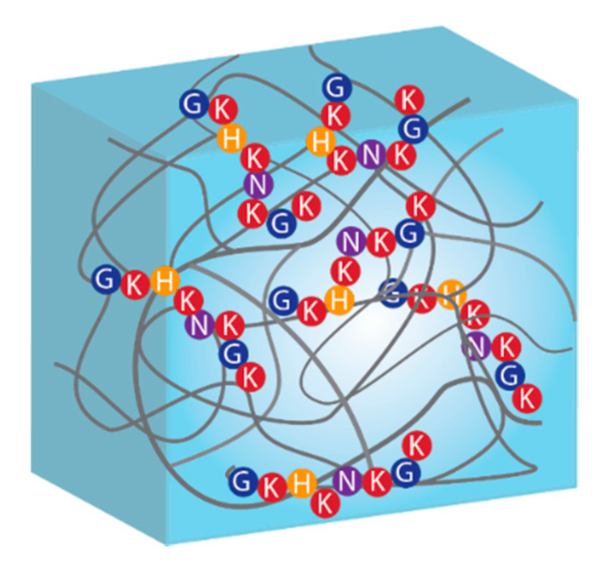 Molecules 25 04090 sch004 Molecules 25 04090 sch004