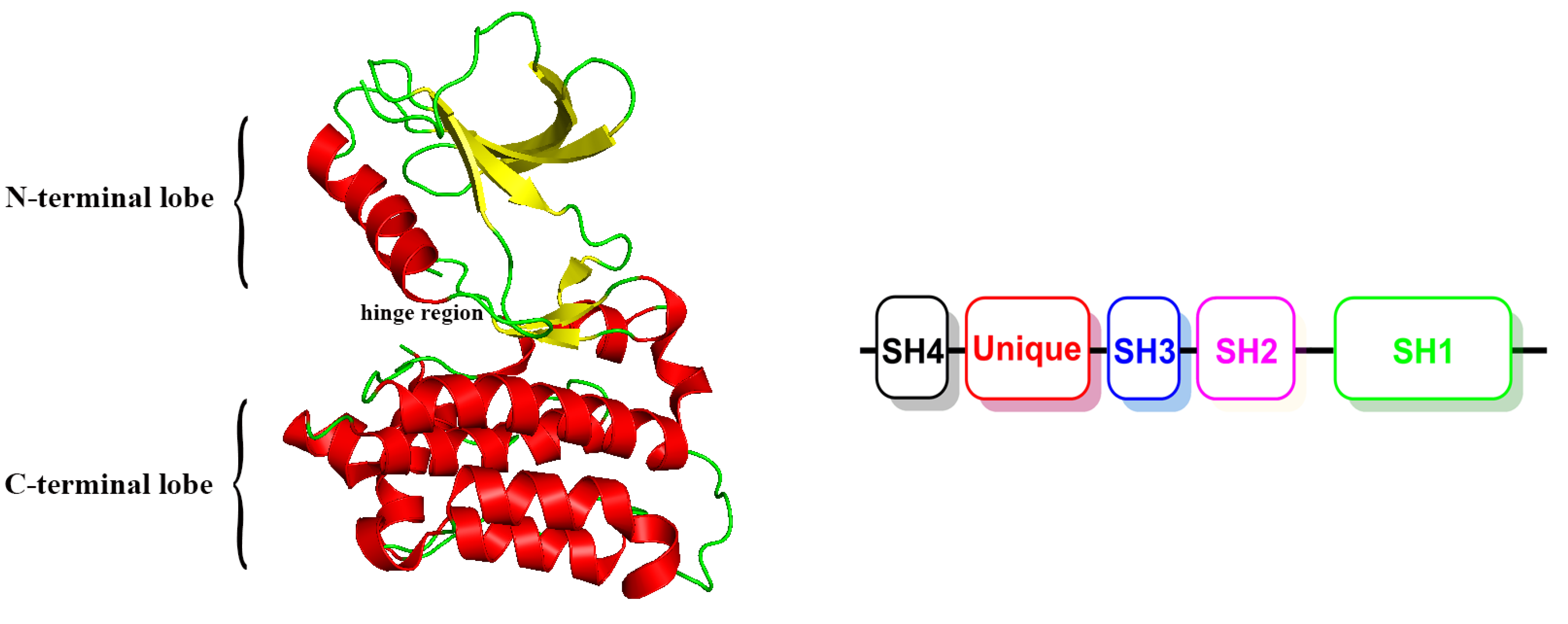 Molecules 25 04094 g001 Molecules 25 04094 g001