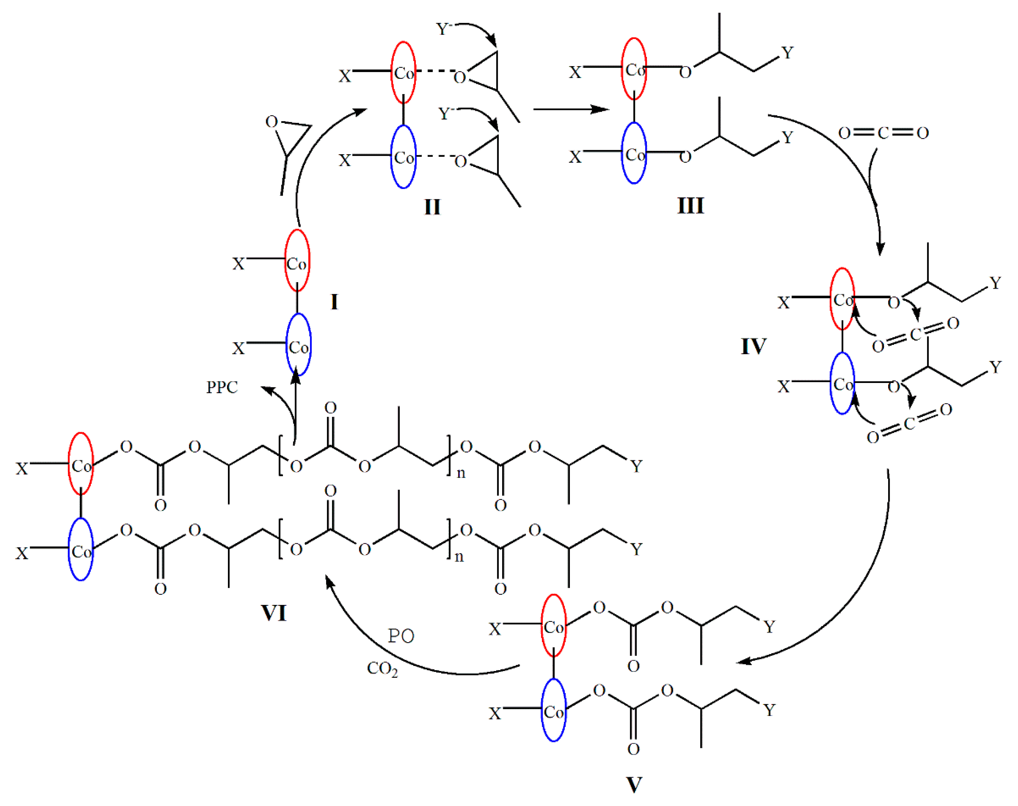 Molecules 25 04095 g005