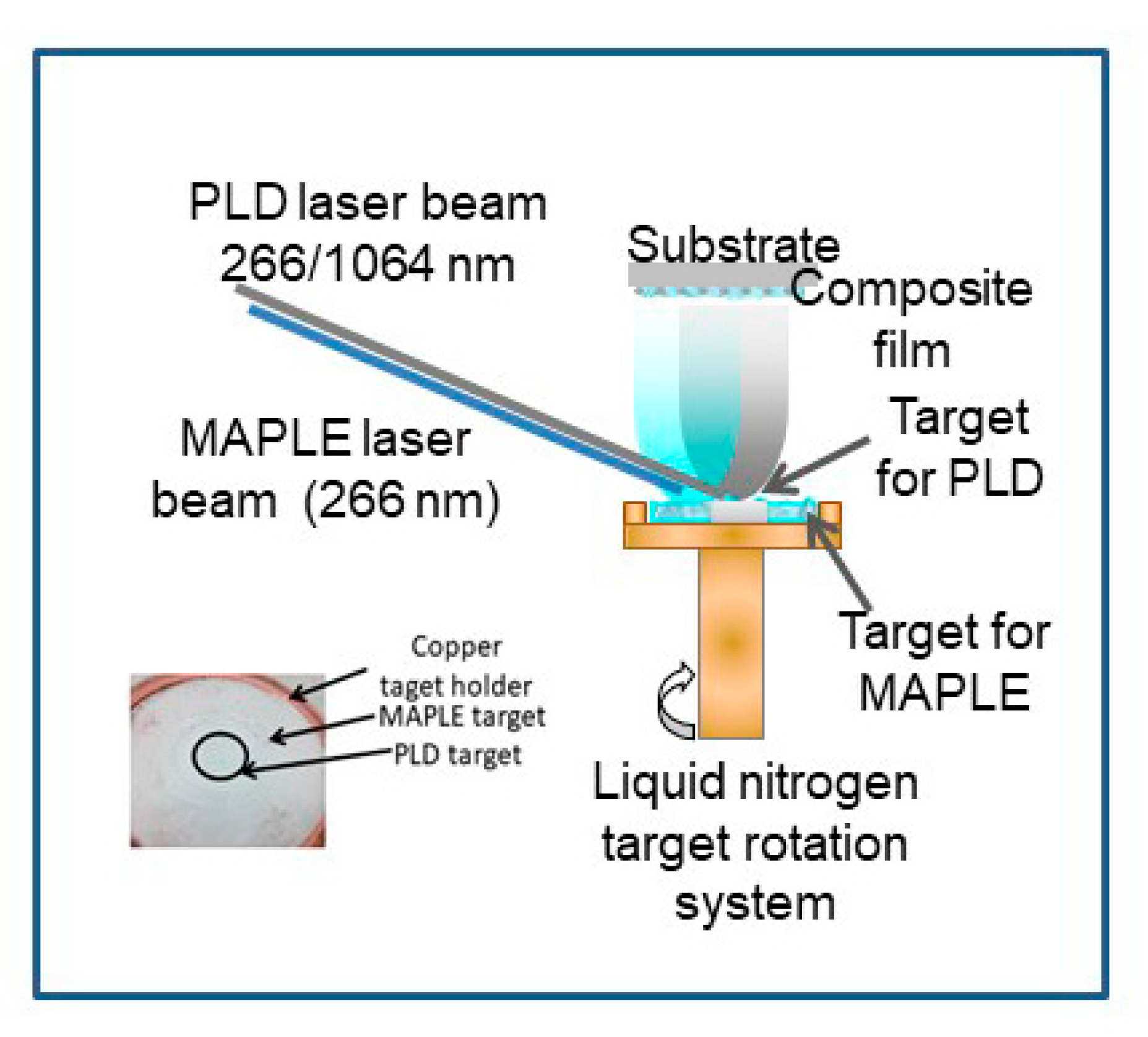 Molecules 25 04097 g001 Molecules 25 04097 g001