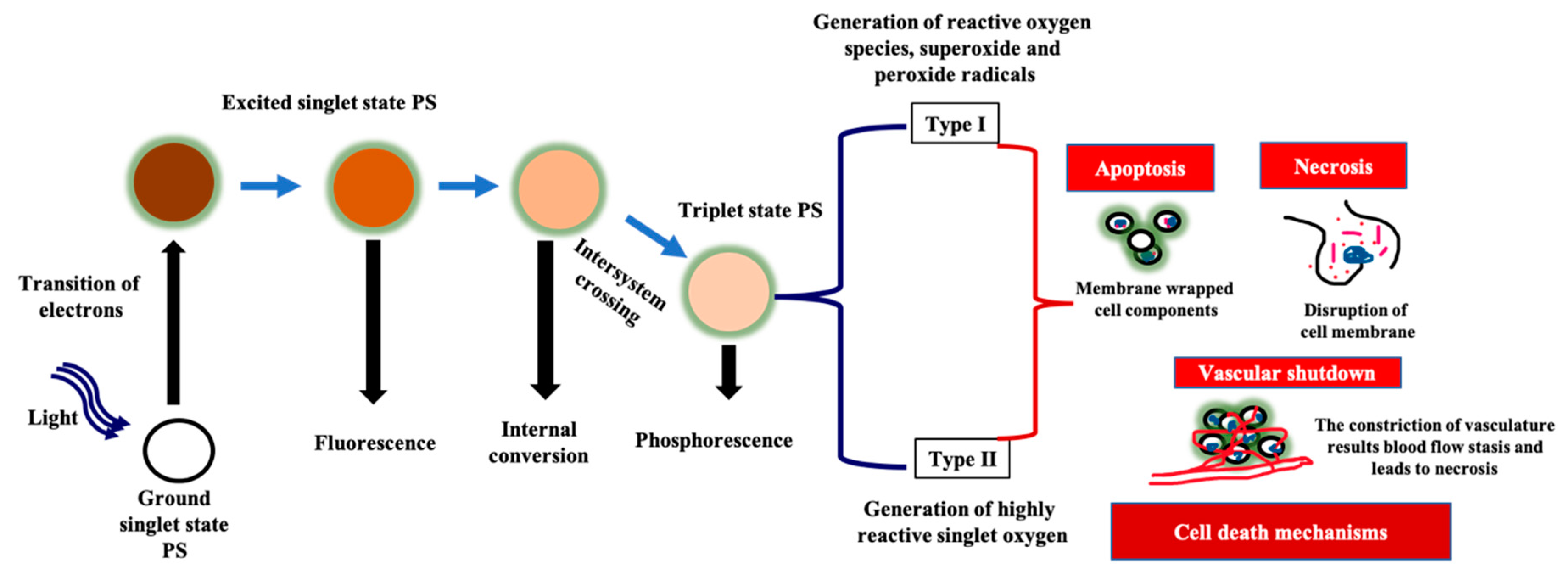 Molecules 25 04102 g001