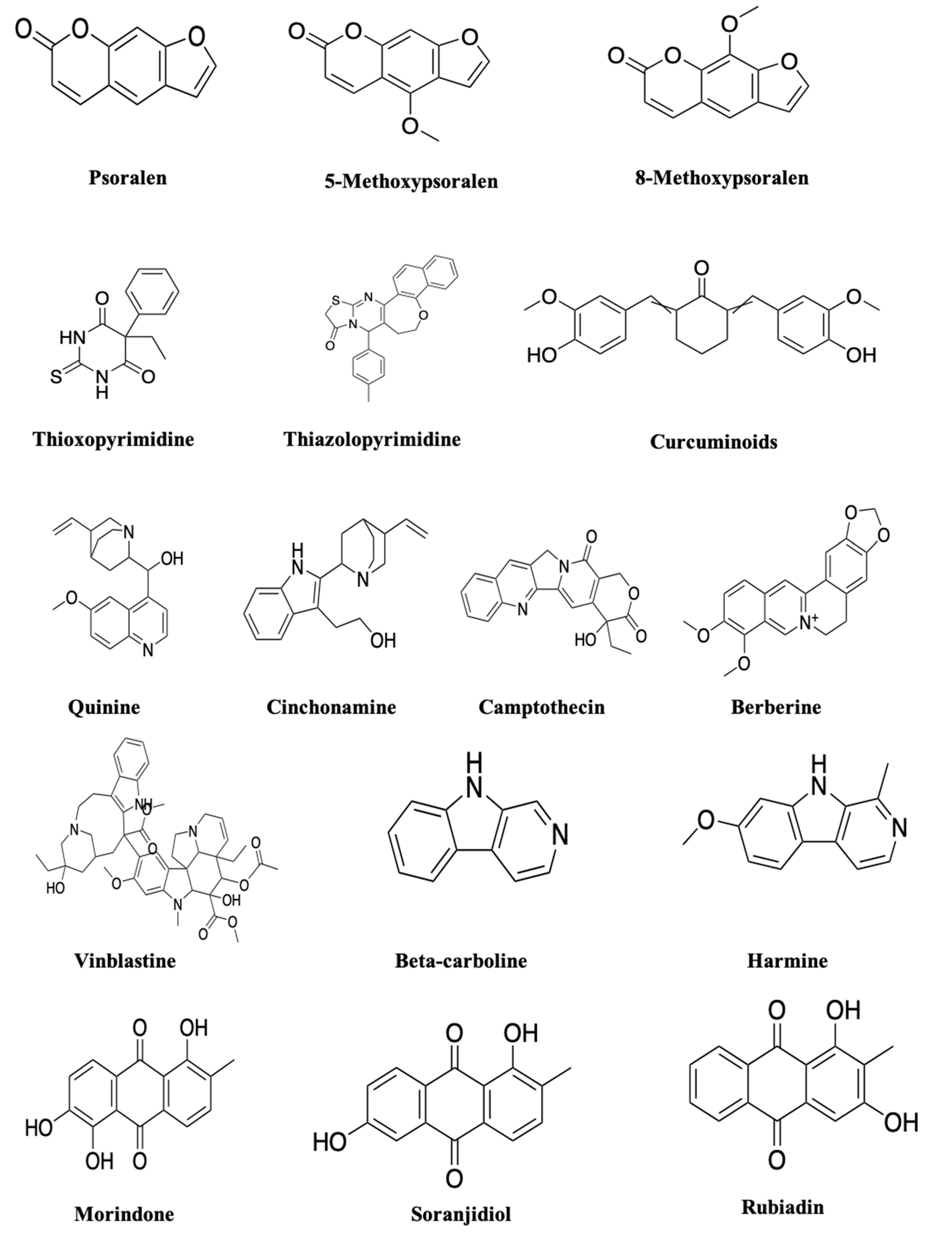 Molecules 25 04102 g003