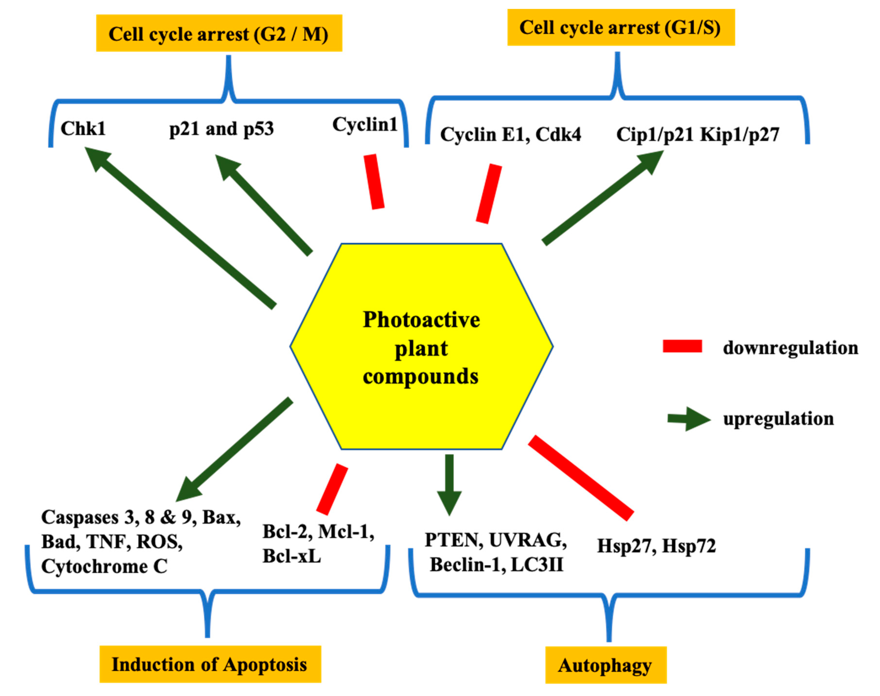 Molecules 25 04102 g004