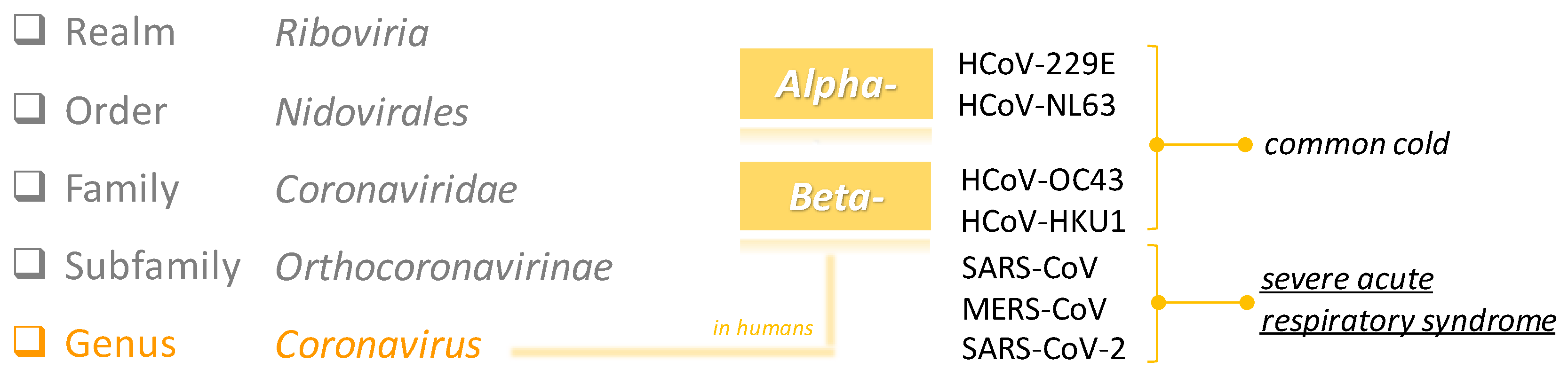 Molecules 25 04103 g002 Molecules 25 04103 g002