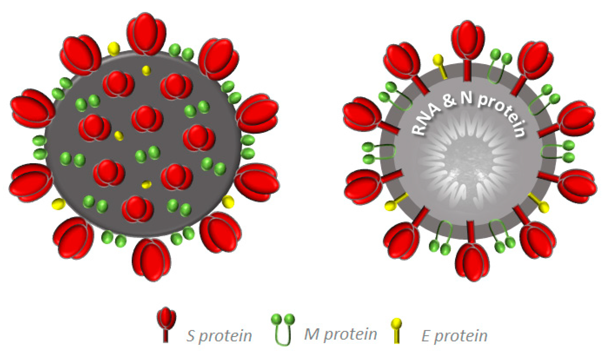 Molecules 25 04103 g003 Molecules 25 04103 g003