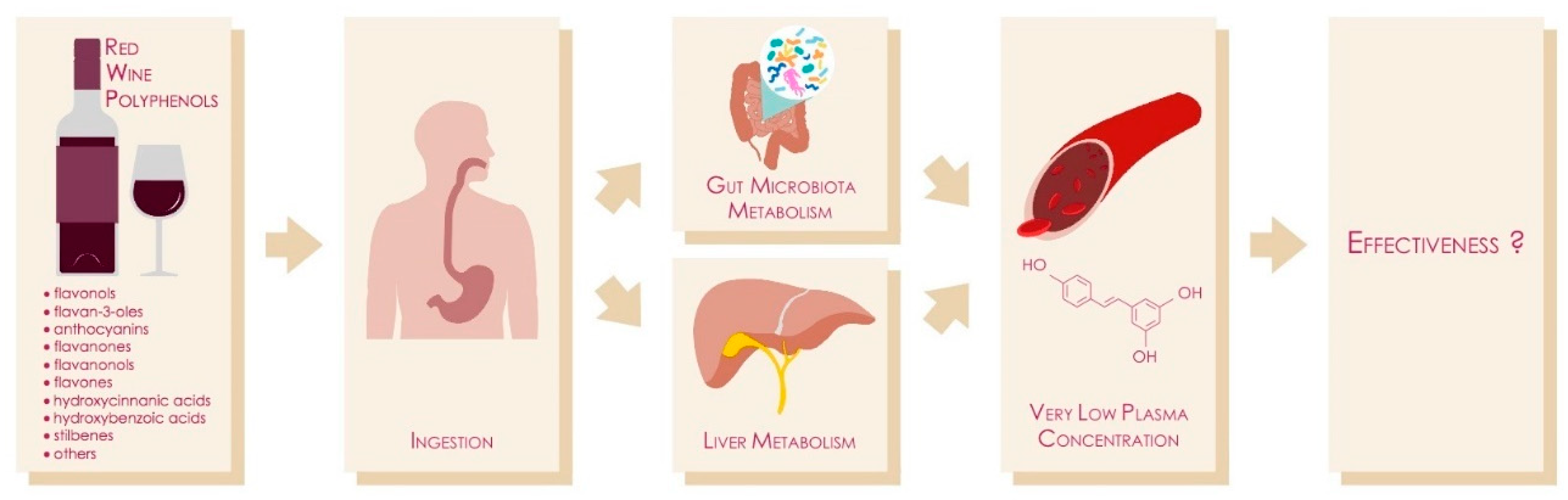 Molecules 25 04105 g001