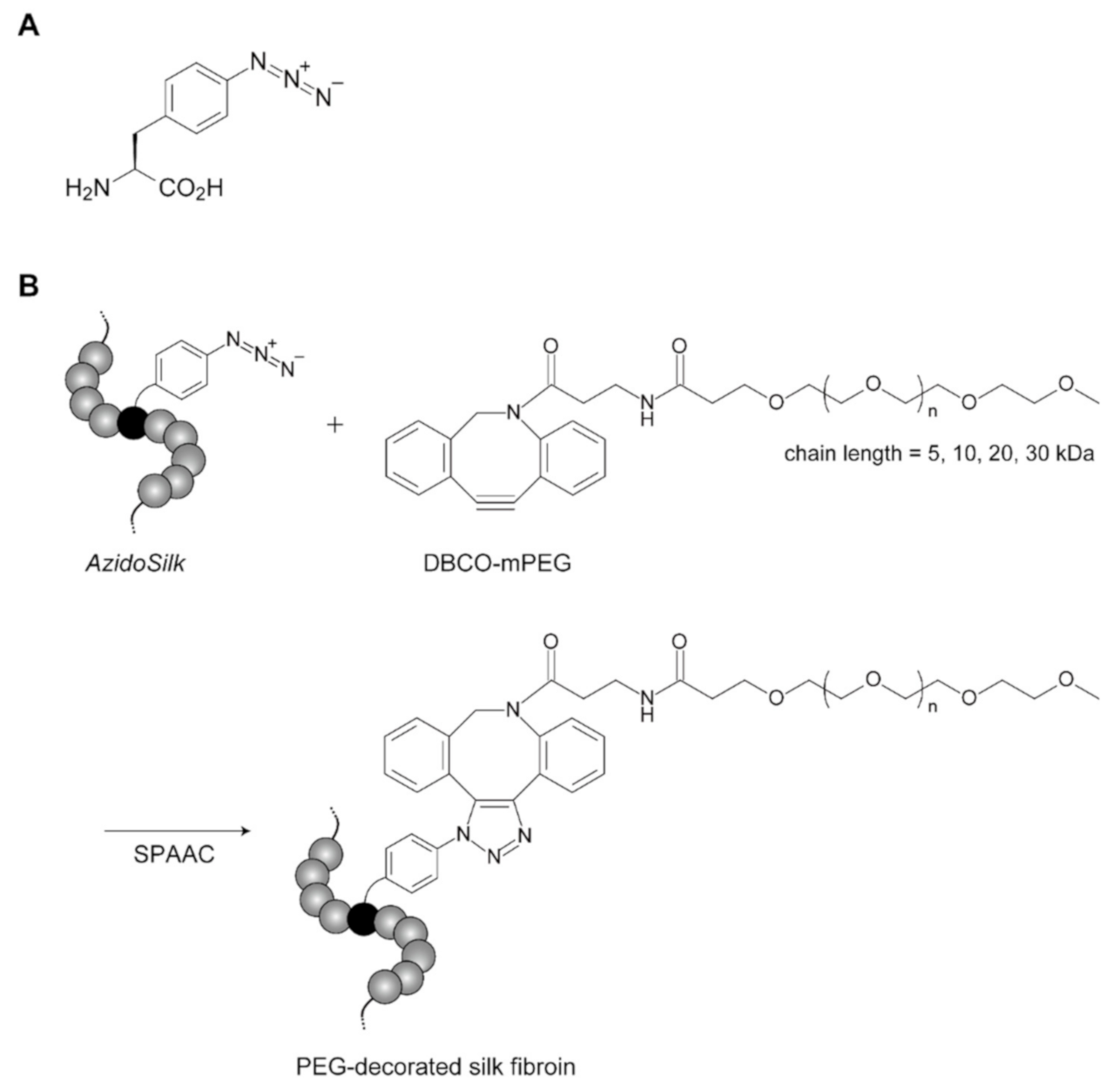 Molecules 25 04106 g001 Molecules 25 04106 g001