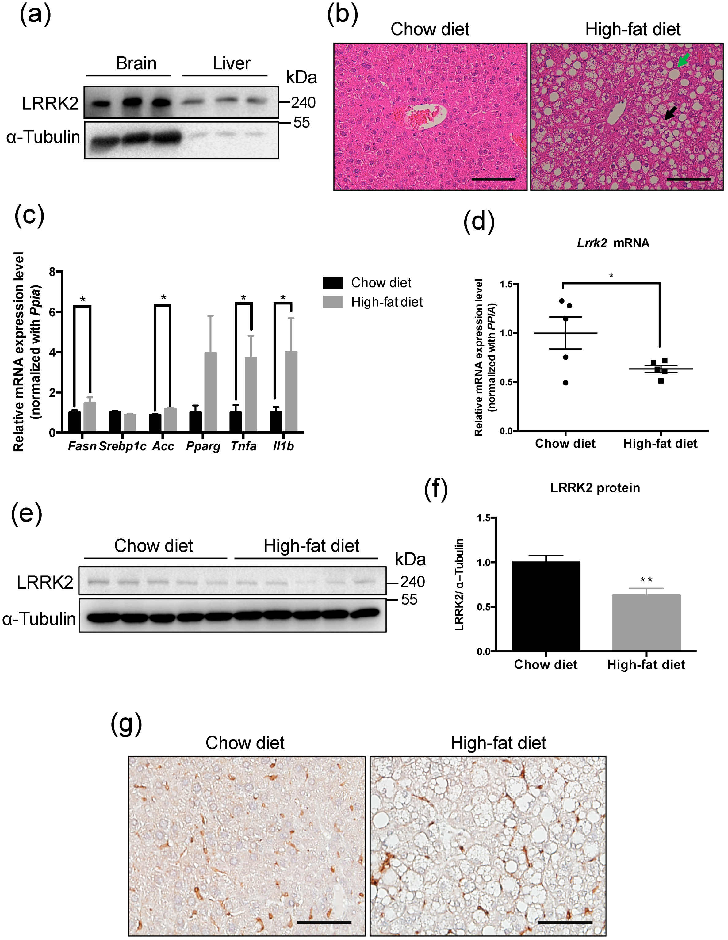 Molecules 25 04122 g001 Molecules 25 04122 g001