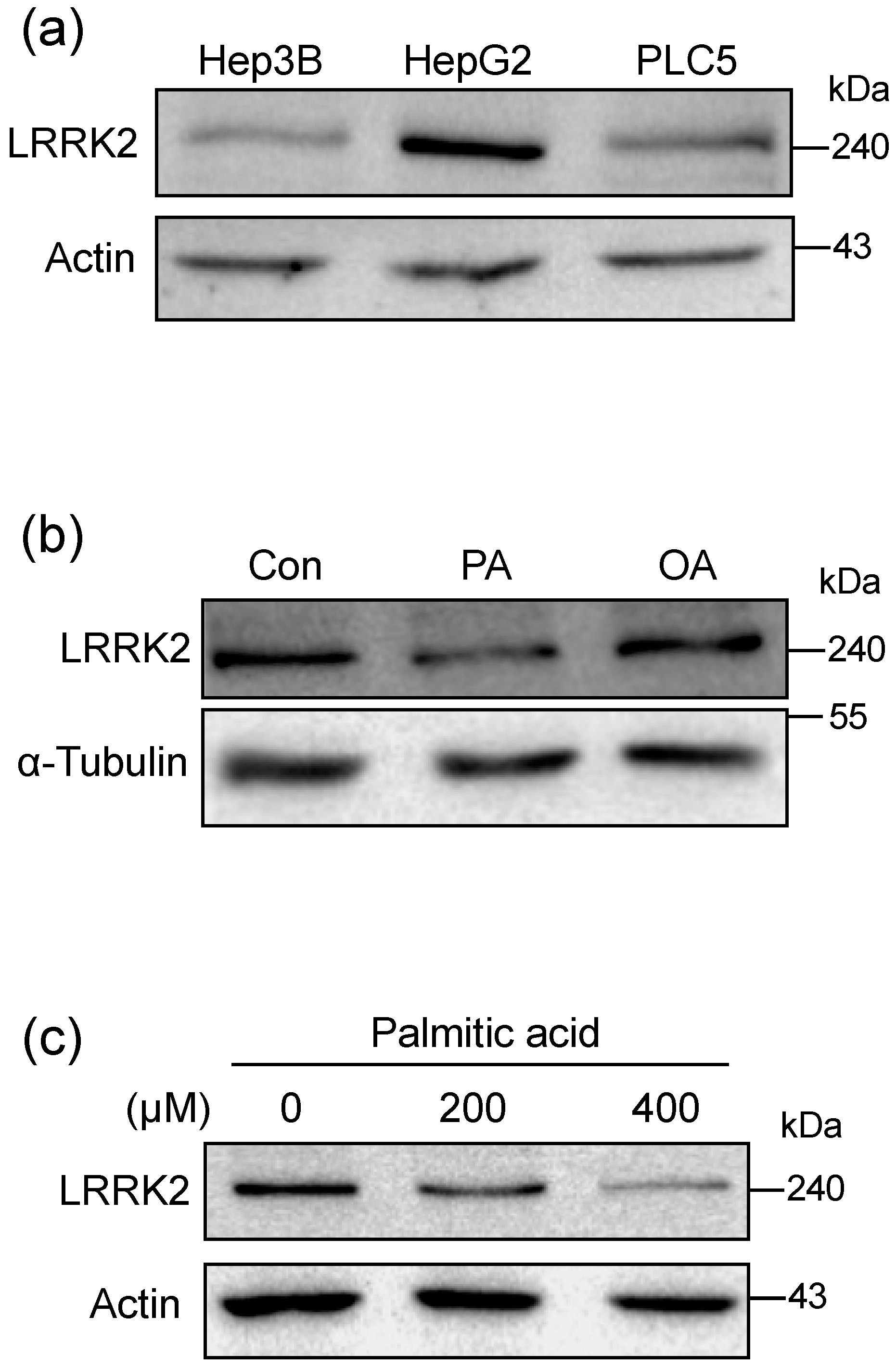 Molecules 25 04122 g002 Molecules 25 04122 g002