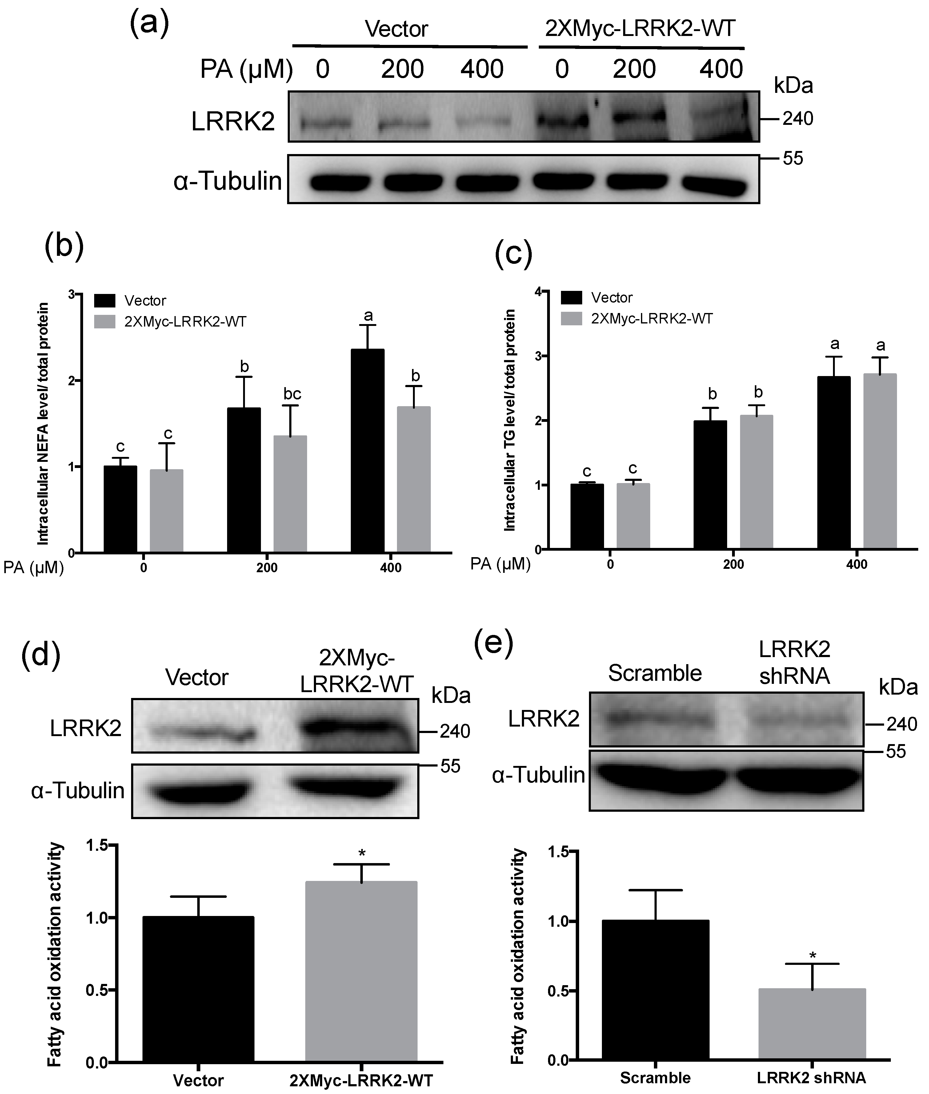 Molecules 25 04122 g003 Molecules 25 04122 g003