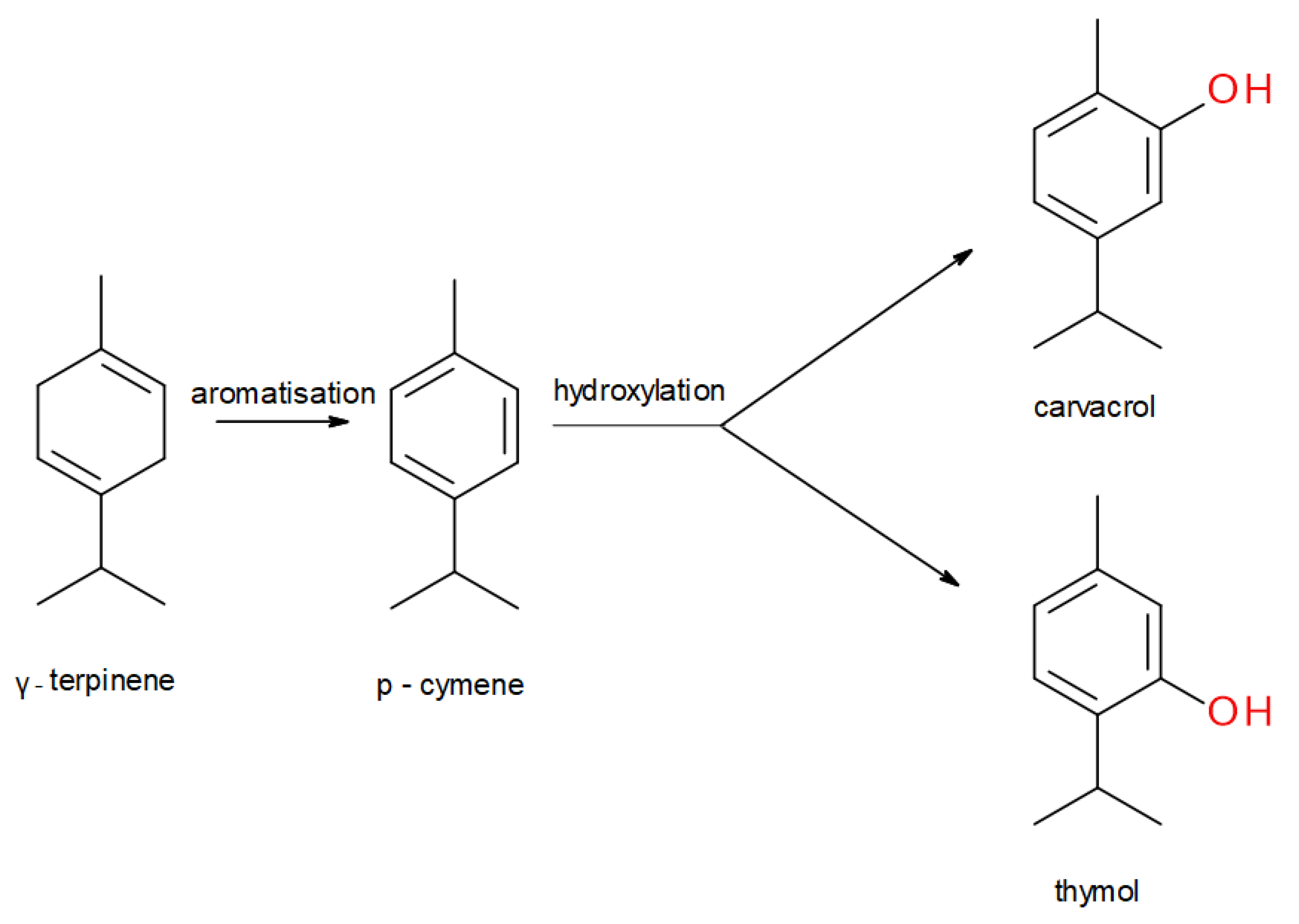 Molecules 25 04125 g001 Molecules 25 04125 g001
