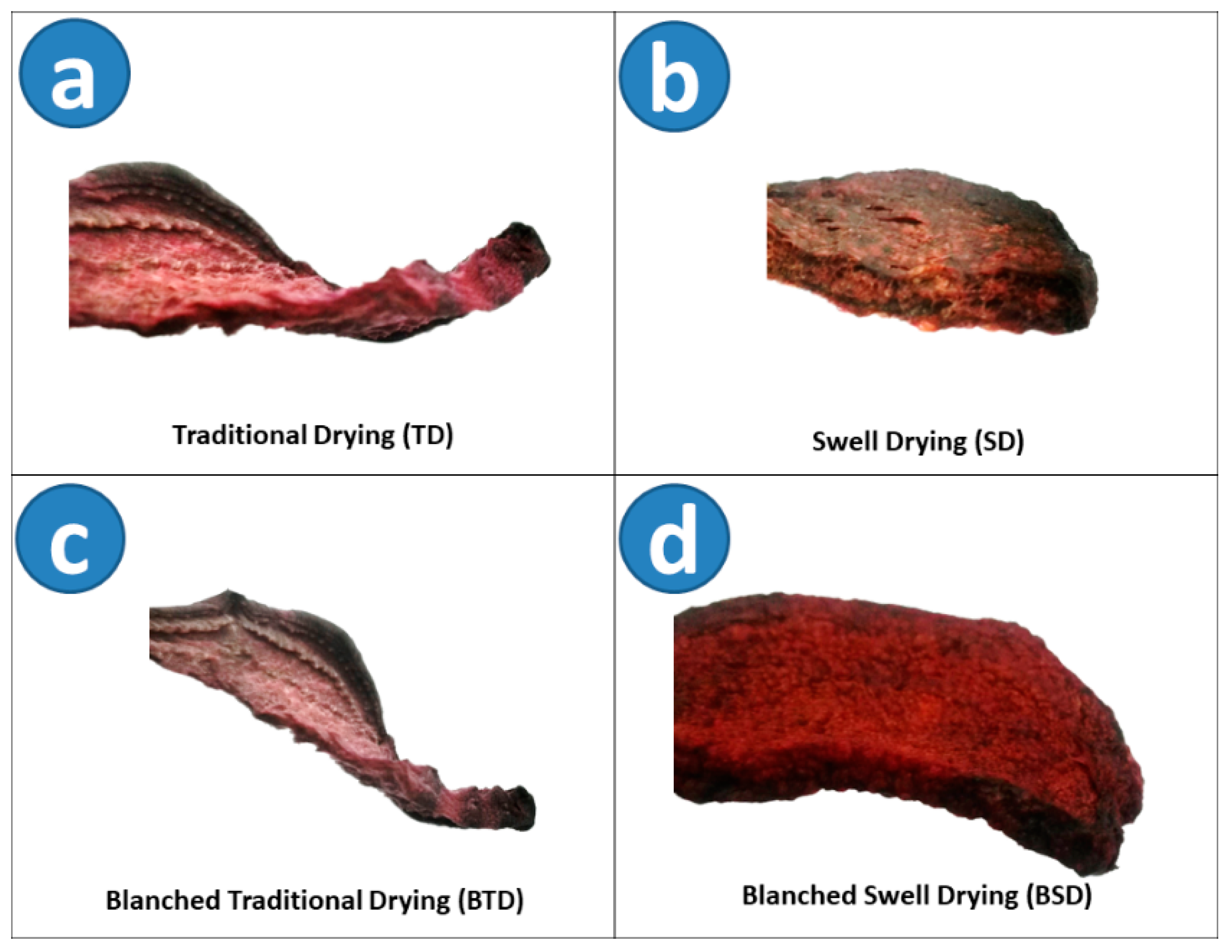 Molecules 25 04132 g001