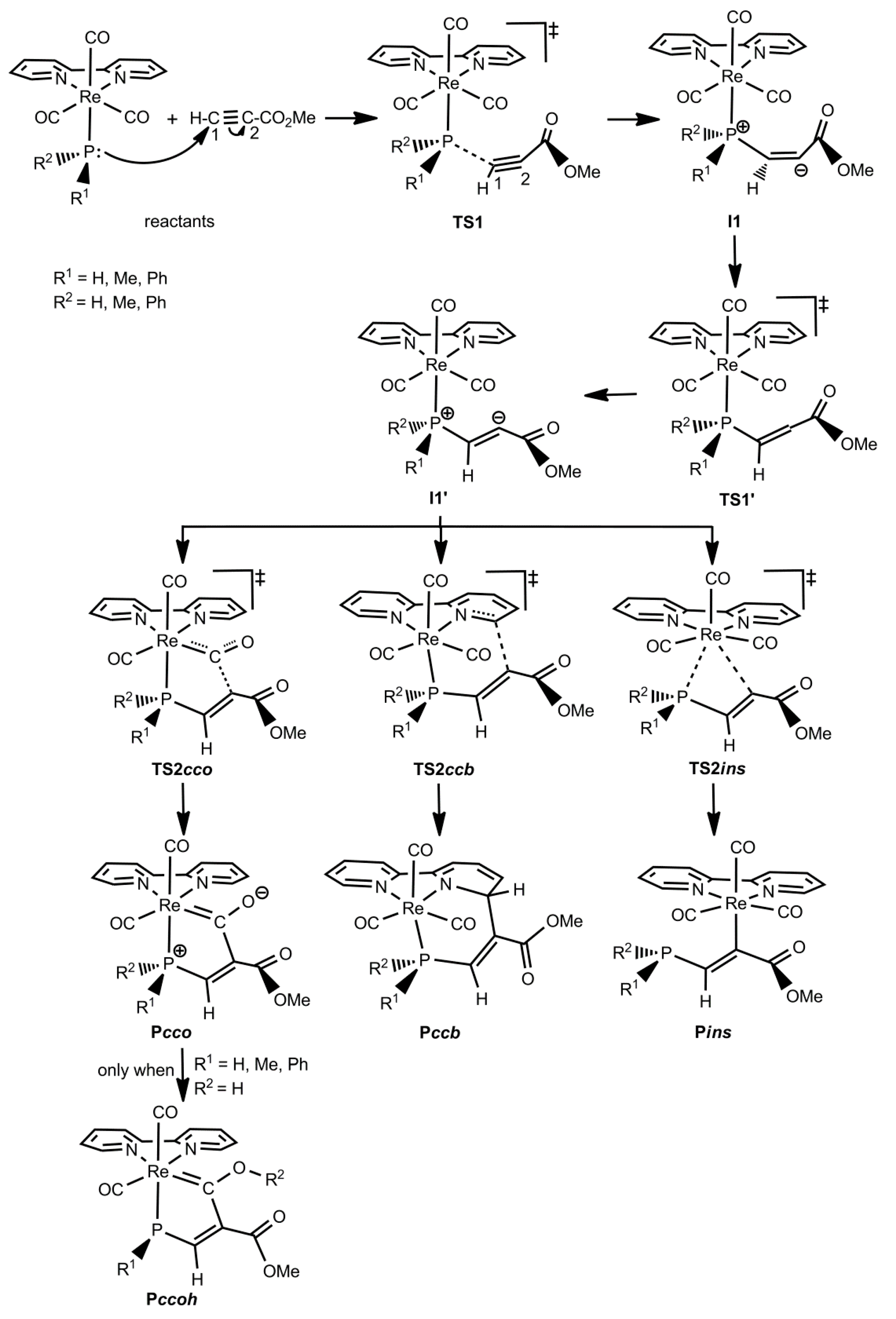 Molecules 25 04134 sch002 Molecules 25 04134 sch002