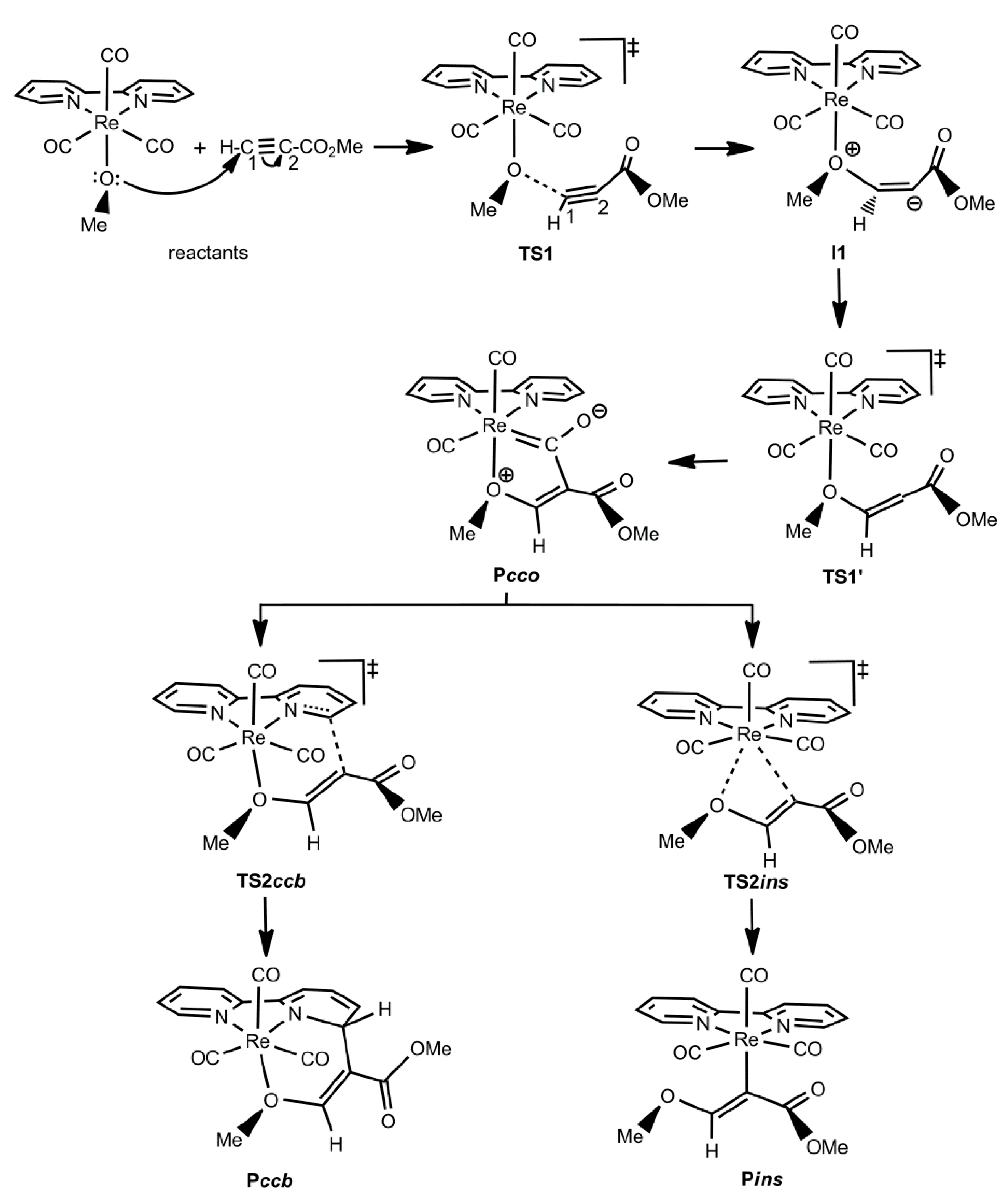 Molecules 25 04134 sch003 Molecules 25 04134 sch003