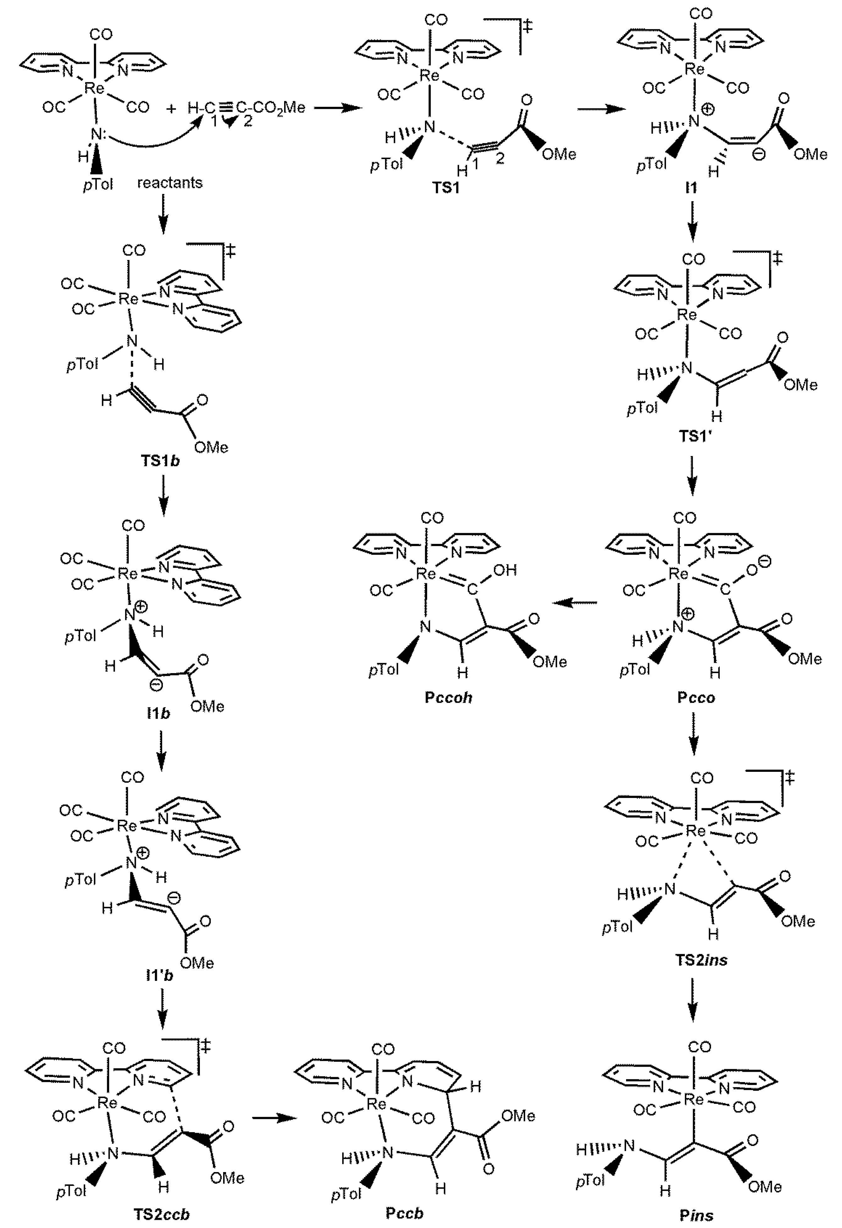 Molecules 25 04134 sch004 Molecules 25 04134 sch004