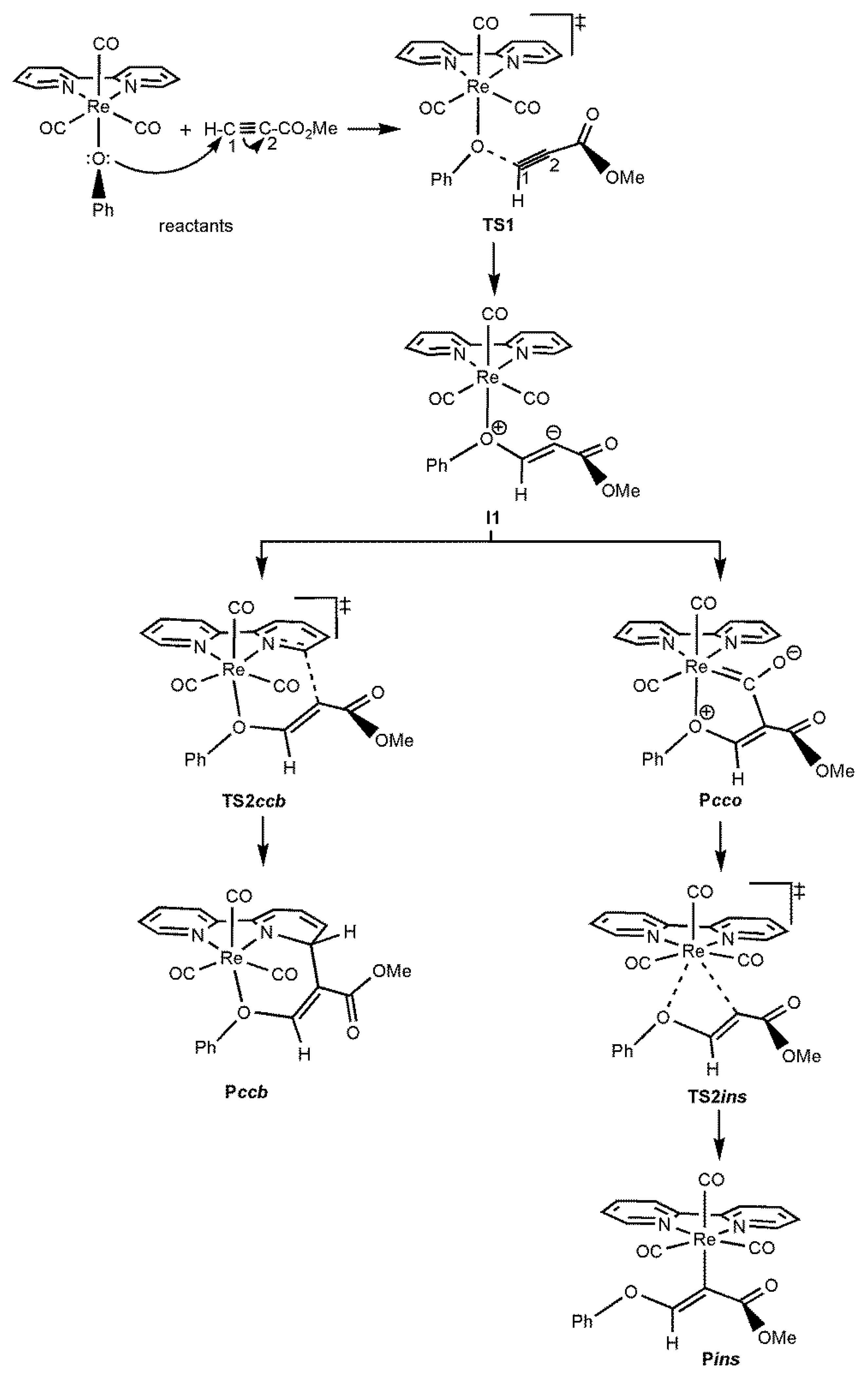 Molecules 25 04134 sch005 Molecules 25 04134 sch005