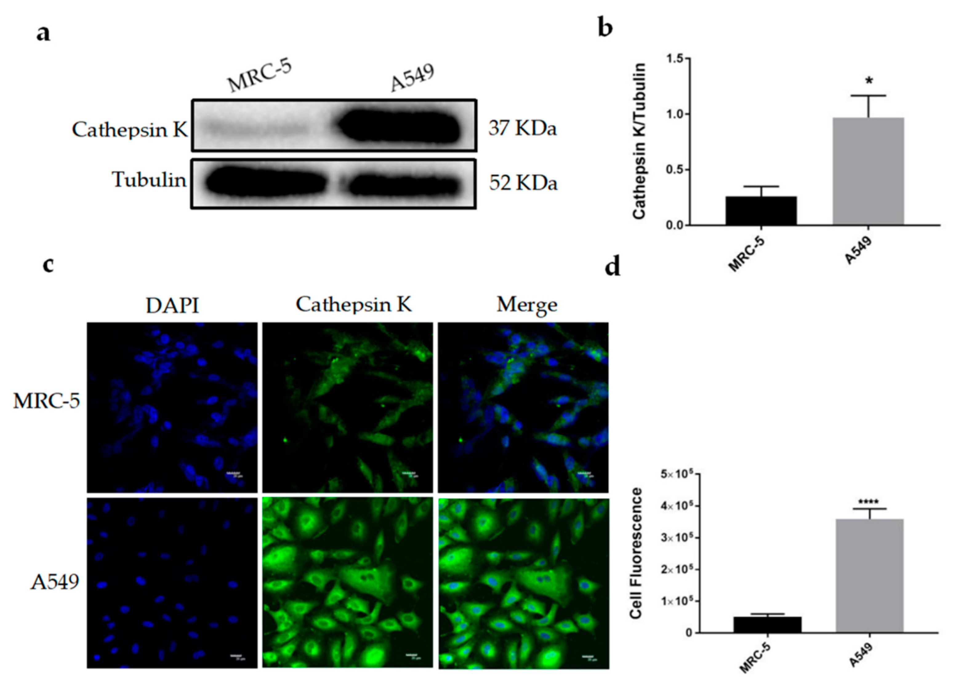 Molecules 25 04136 g001 Molecules 25 04136 g001