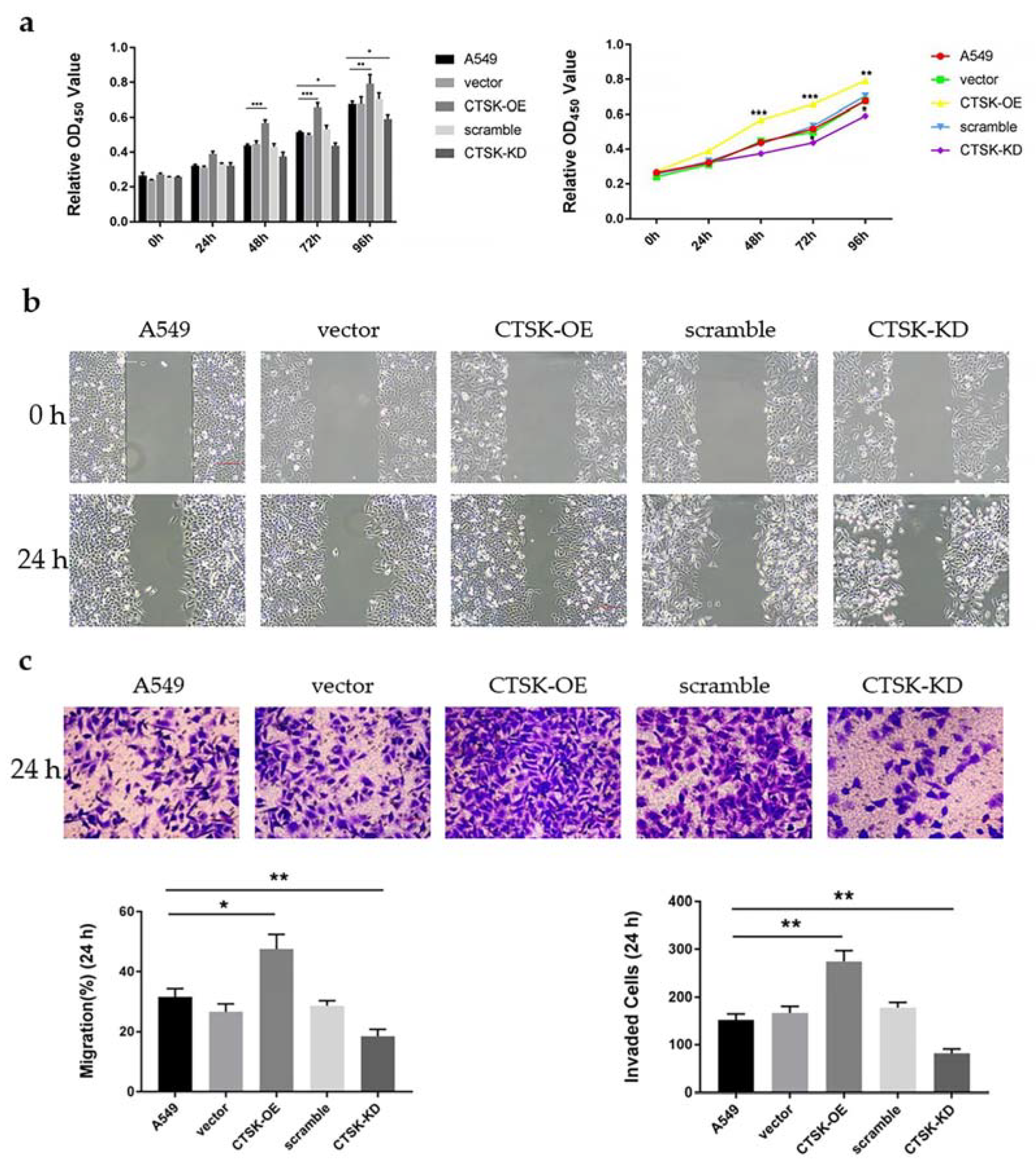 Molecules 25 04136 g003 Molecules 25 04136 g003