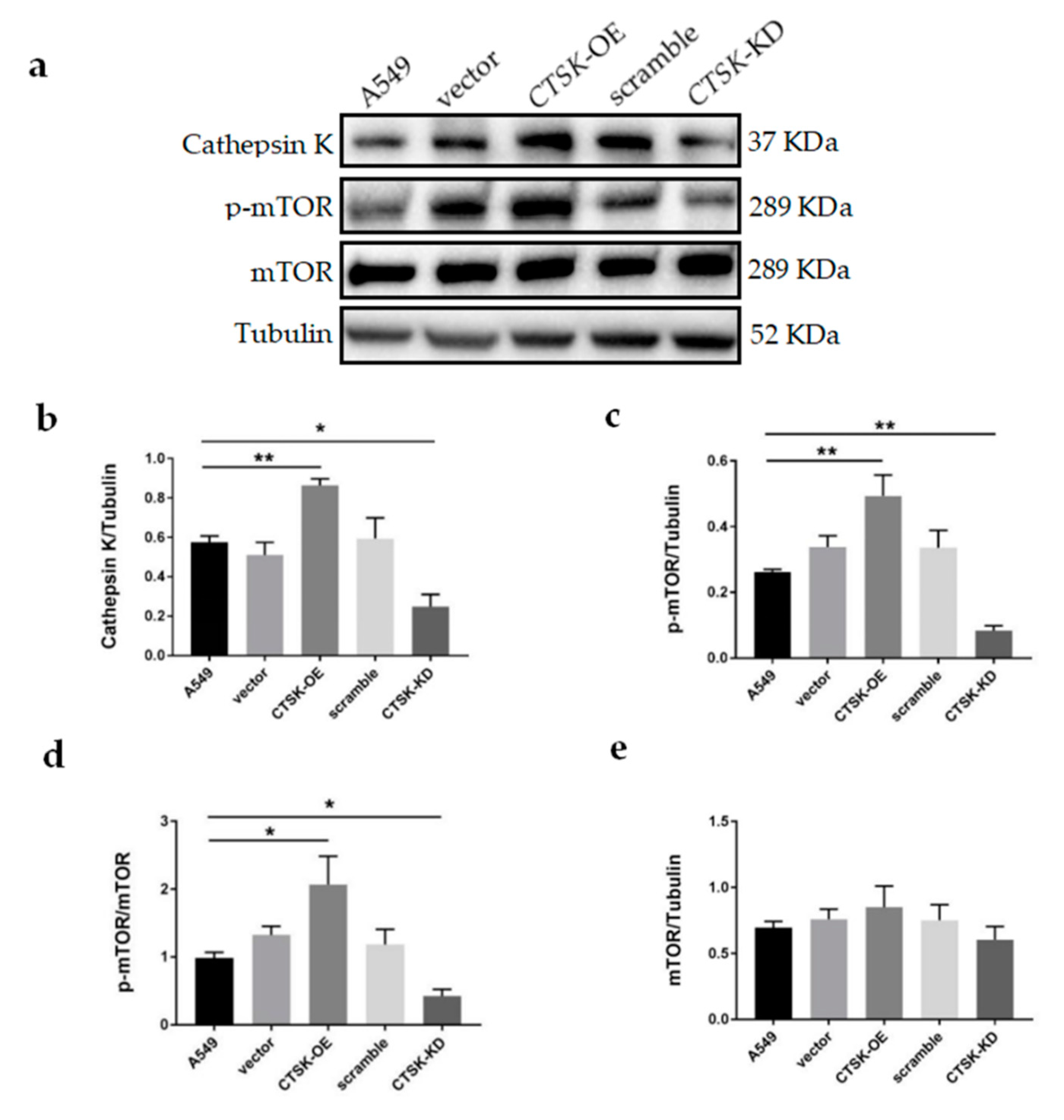 Molecules 25 04136 g004 Molecules 25 04136 g004
