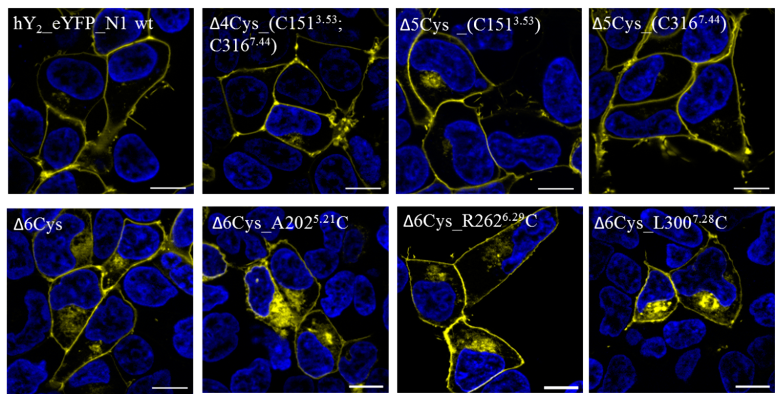 Molecules 25 04143 g002