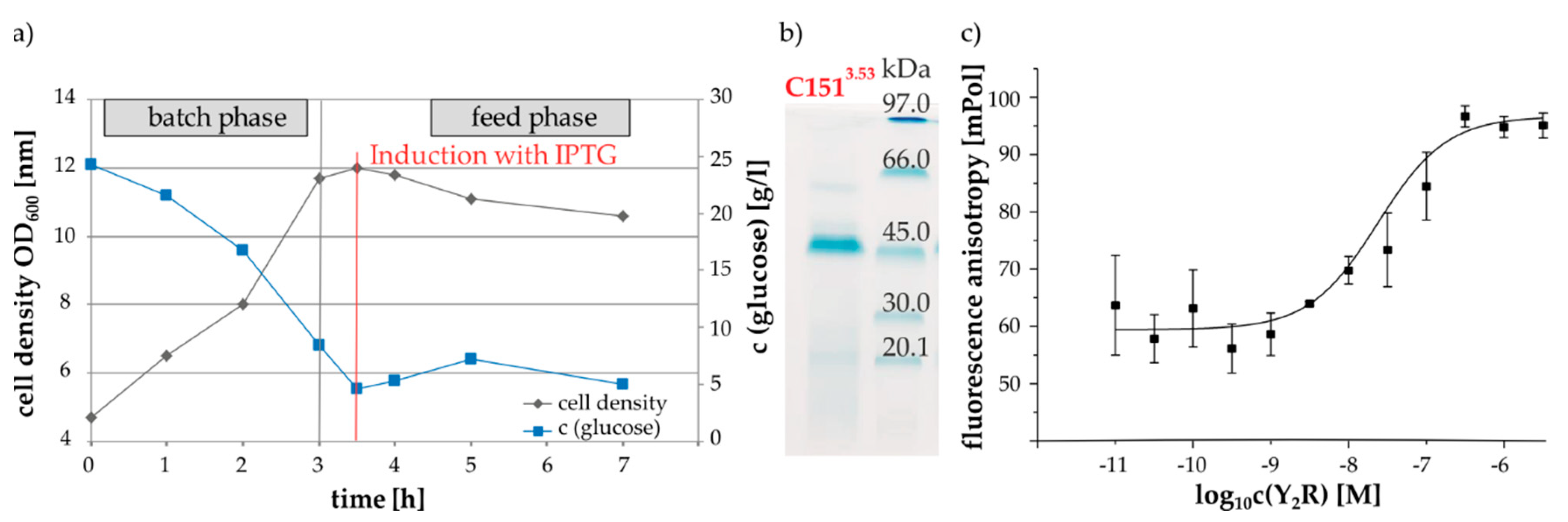 Molecules 25 04143 g004