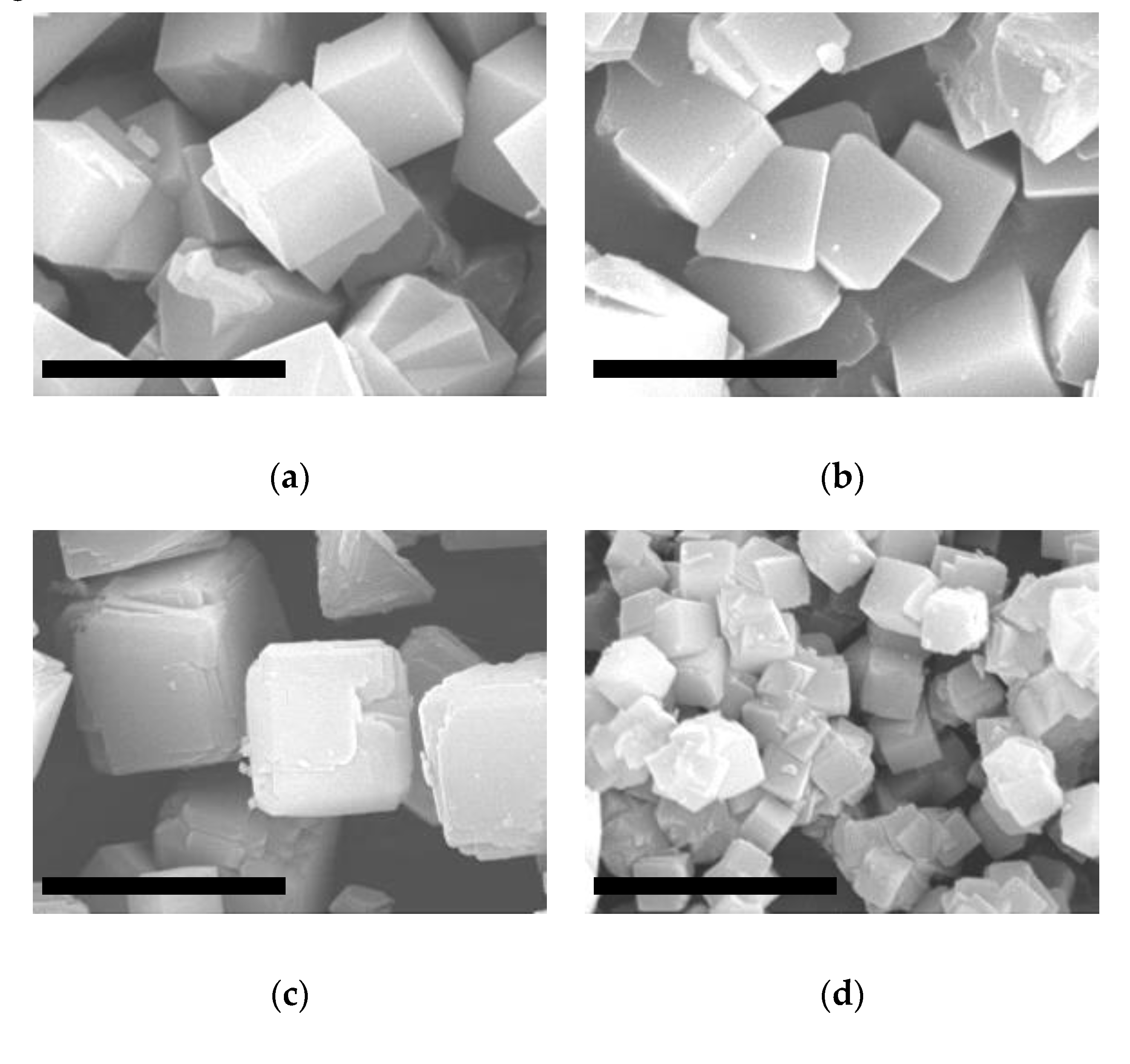 Molecules 25 04150 g003