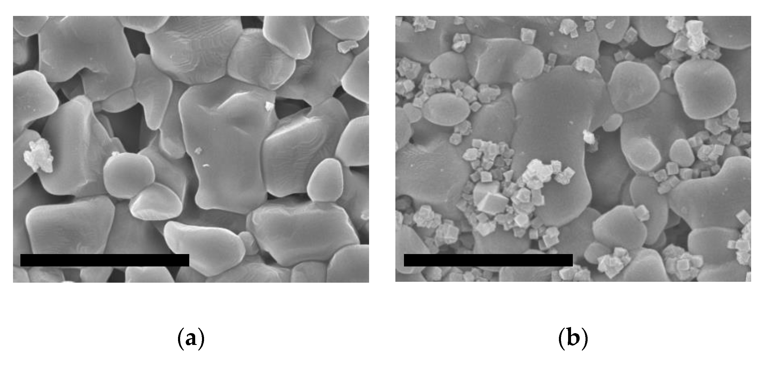 Molecules 25 04150 g004