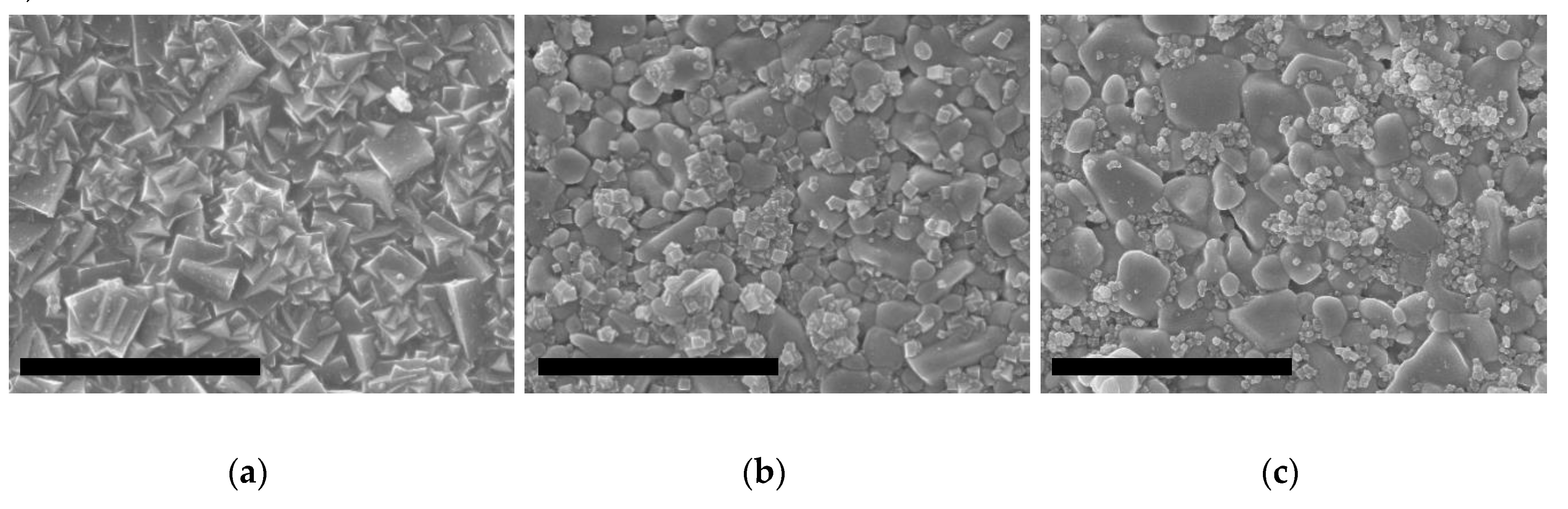 Molecules 25 04150 g005