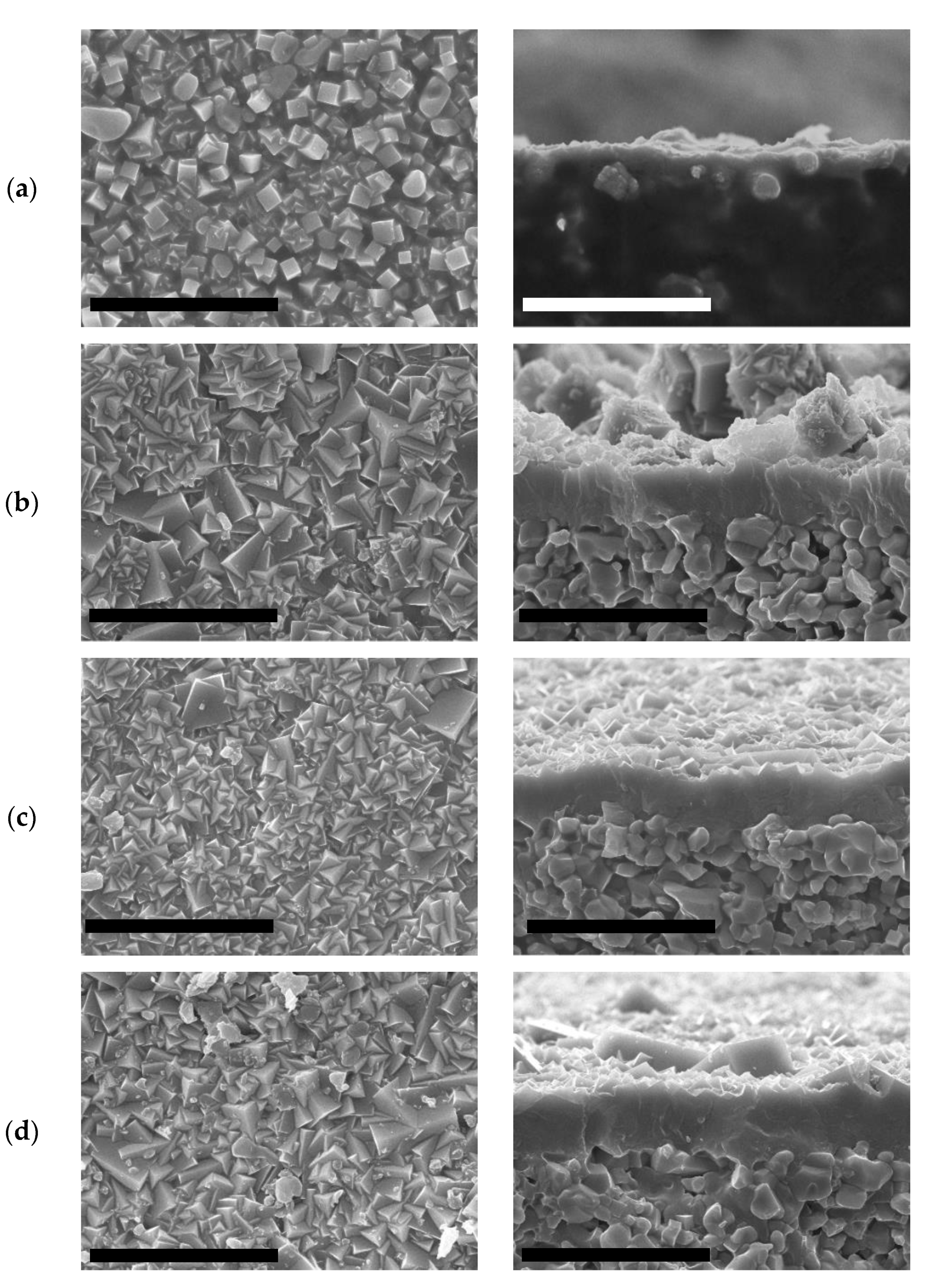 Molecules 25 04150 g006