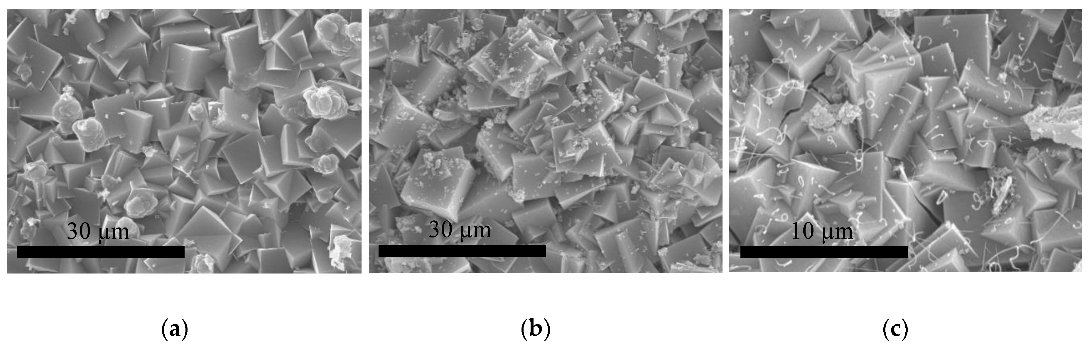 Molecules 25 04150 g009