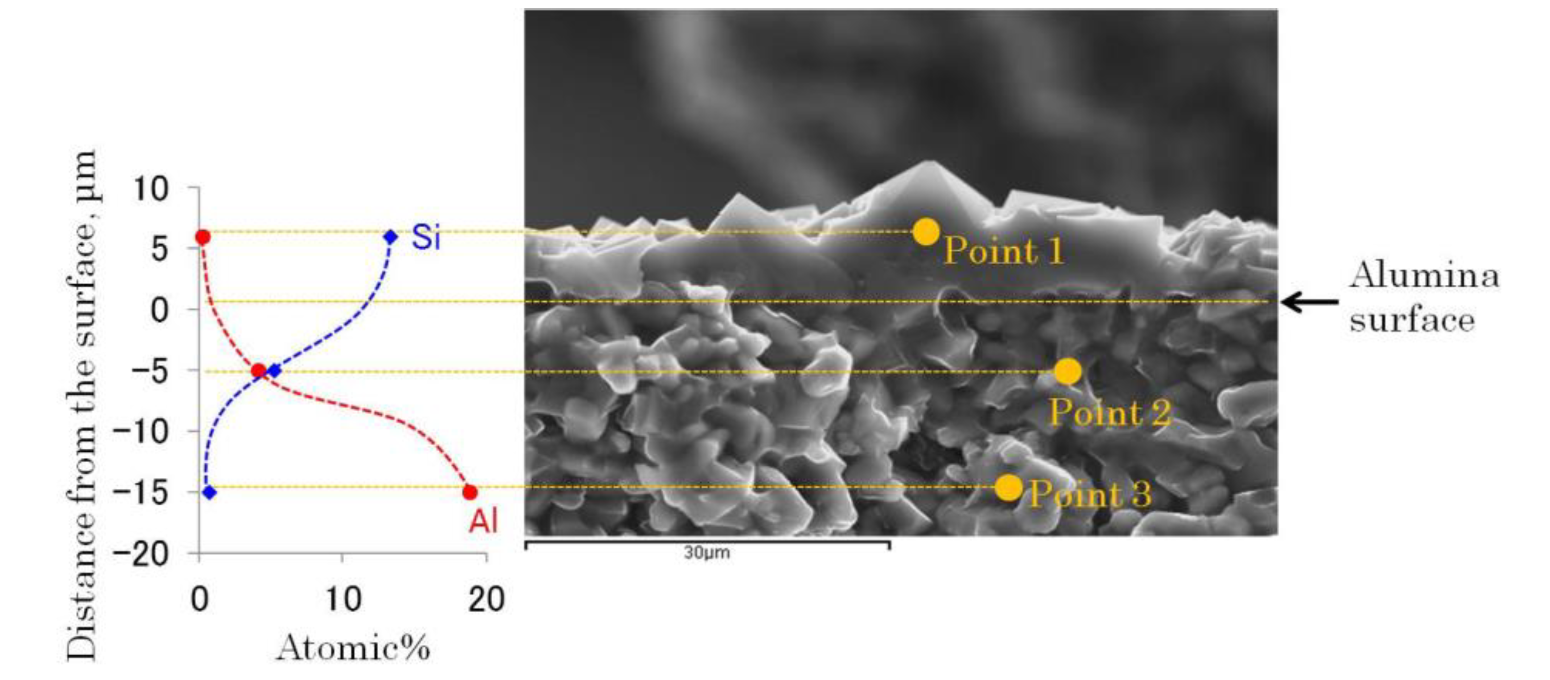 Molecules 25 04150 g010