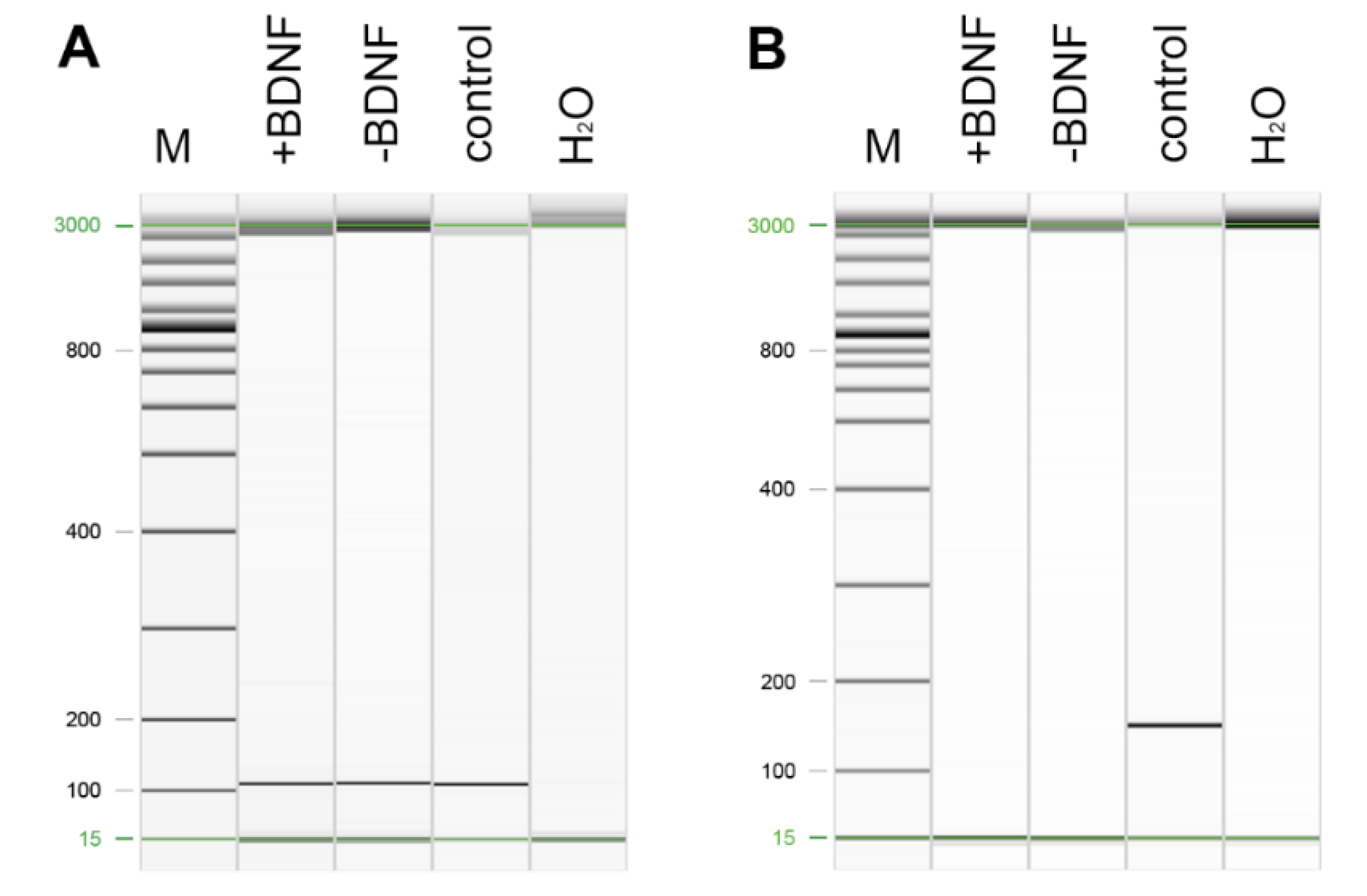 Molecules 25 04151 g004 Molecules 25 04151 g004