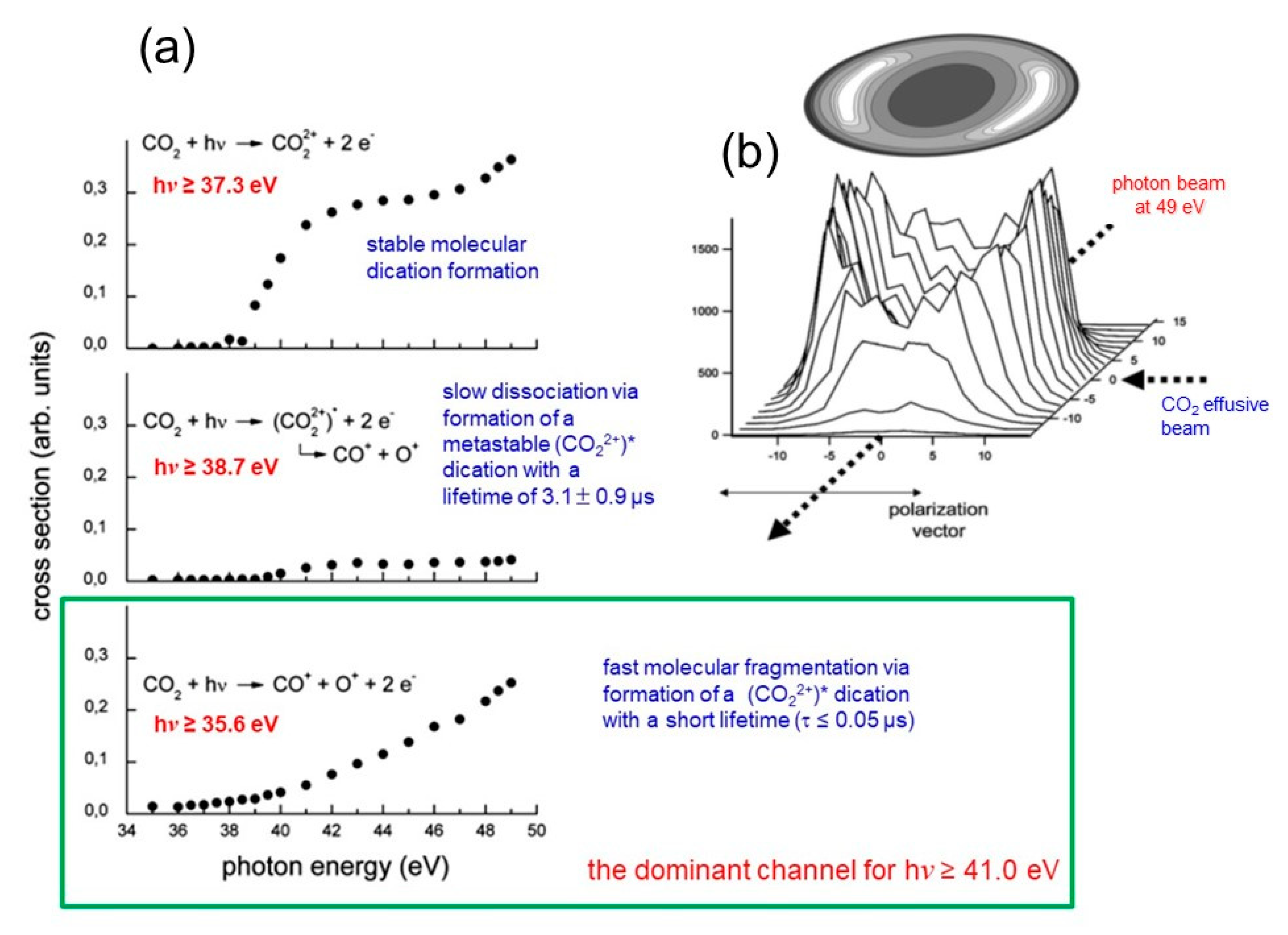 Molecules 25 04157 g007 Molecules 25 04157 g007