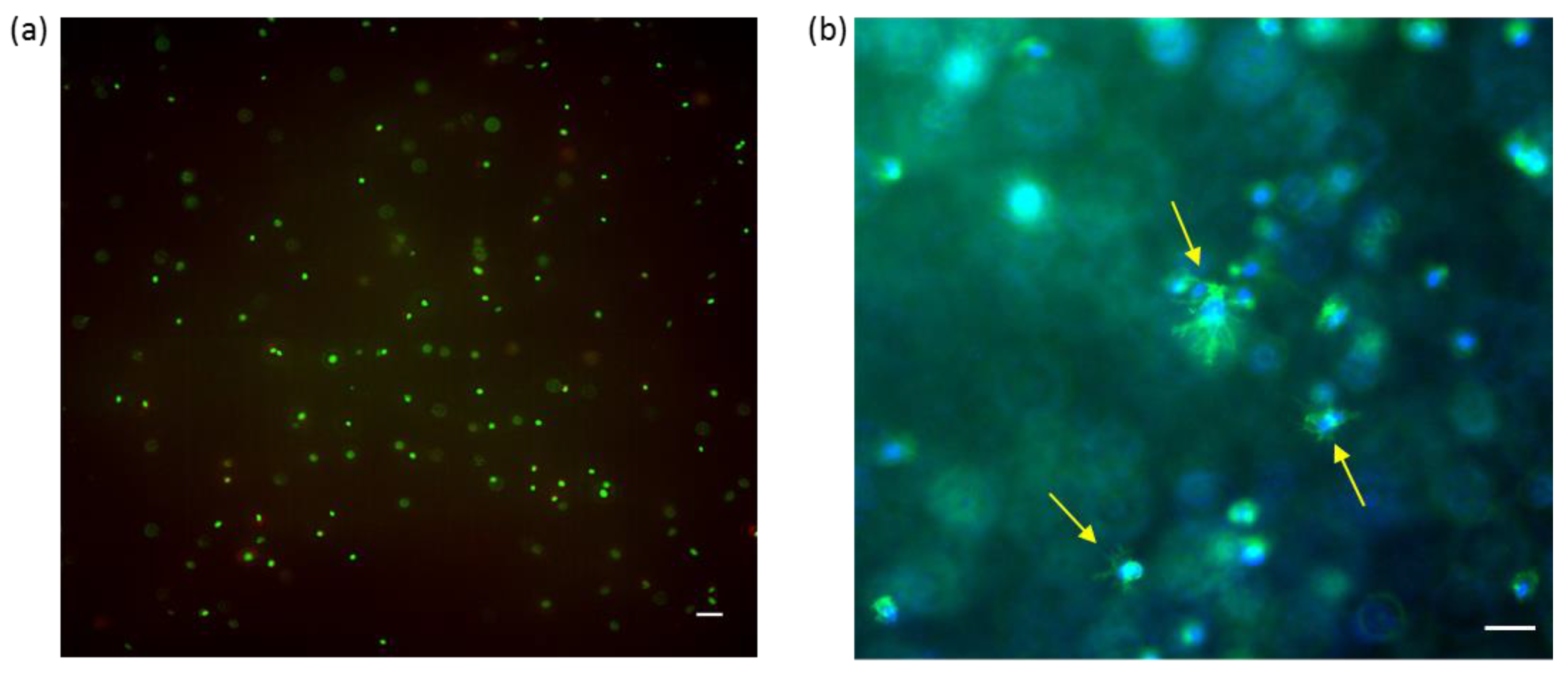 Molecules 25 04166 g006
