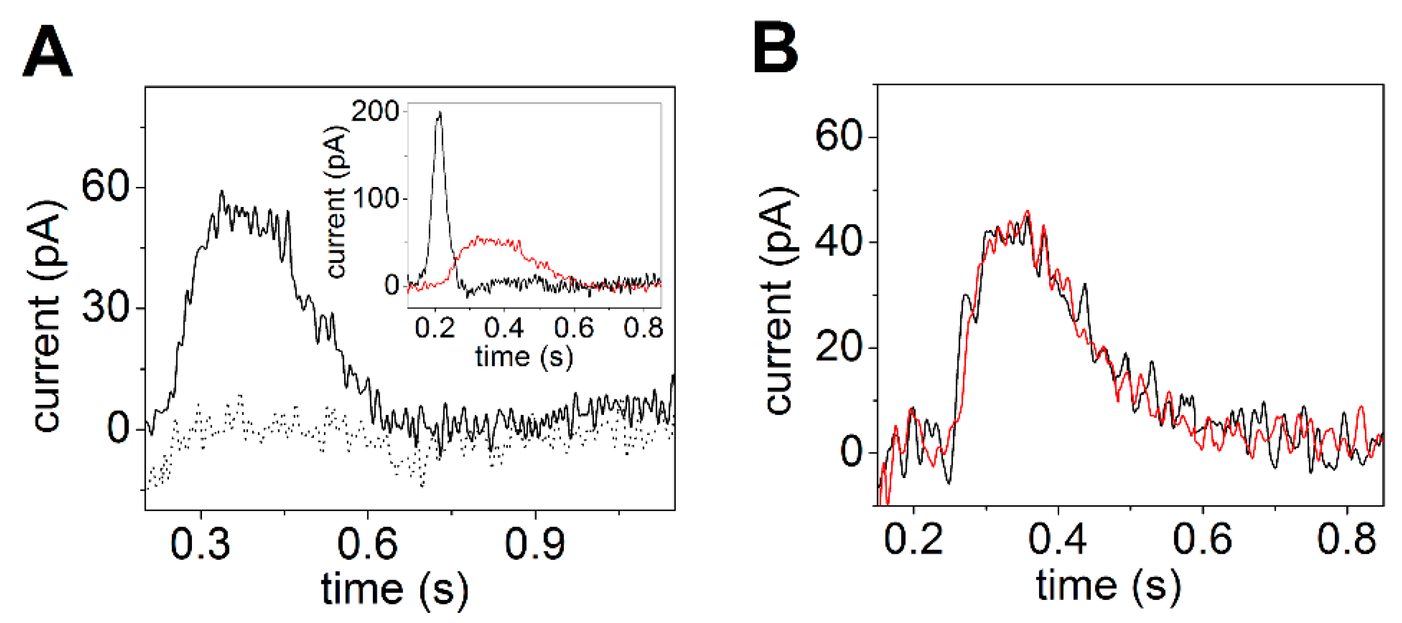 Molecules 25 04167 g005