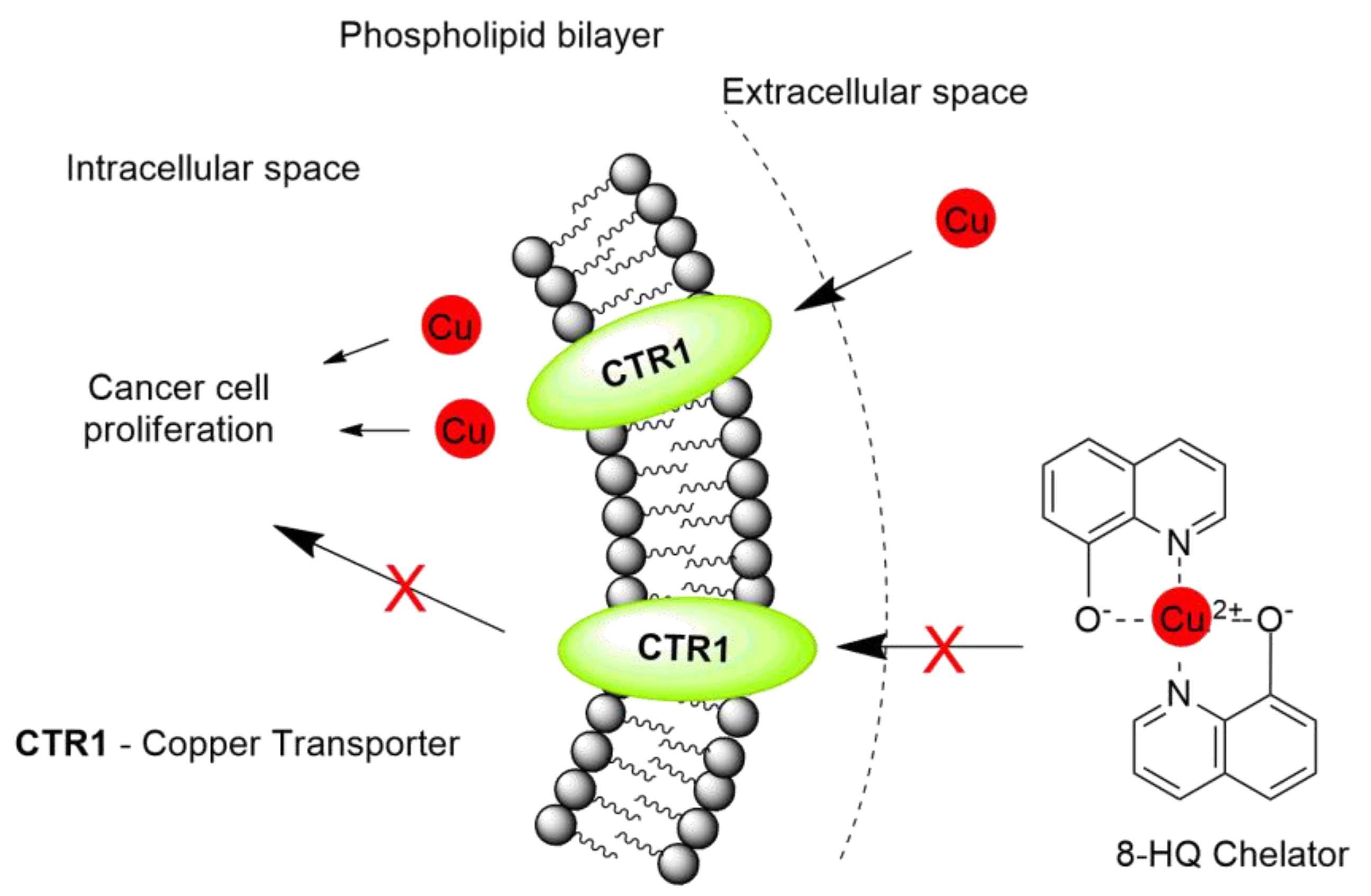 Molecules 25 04174 g001