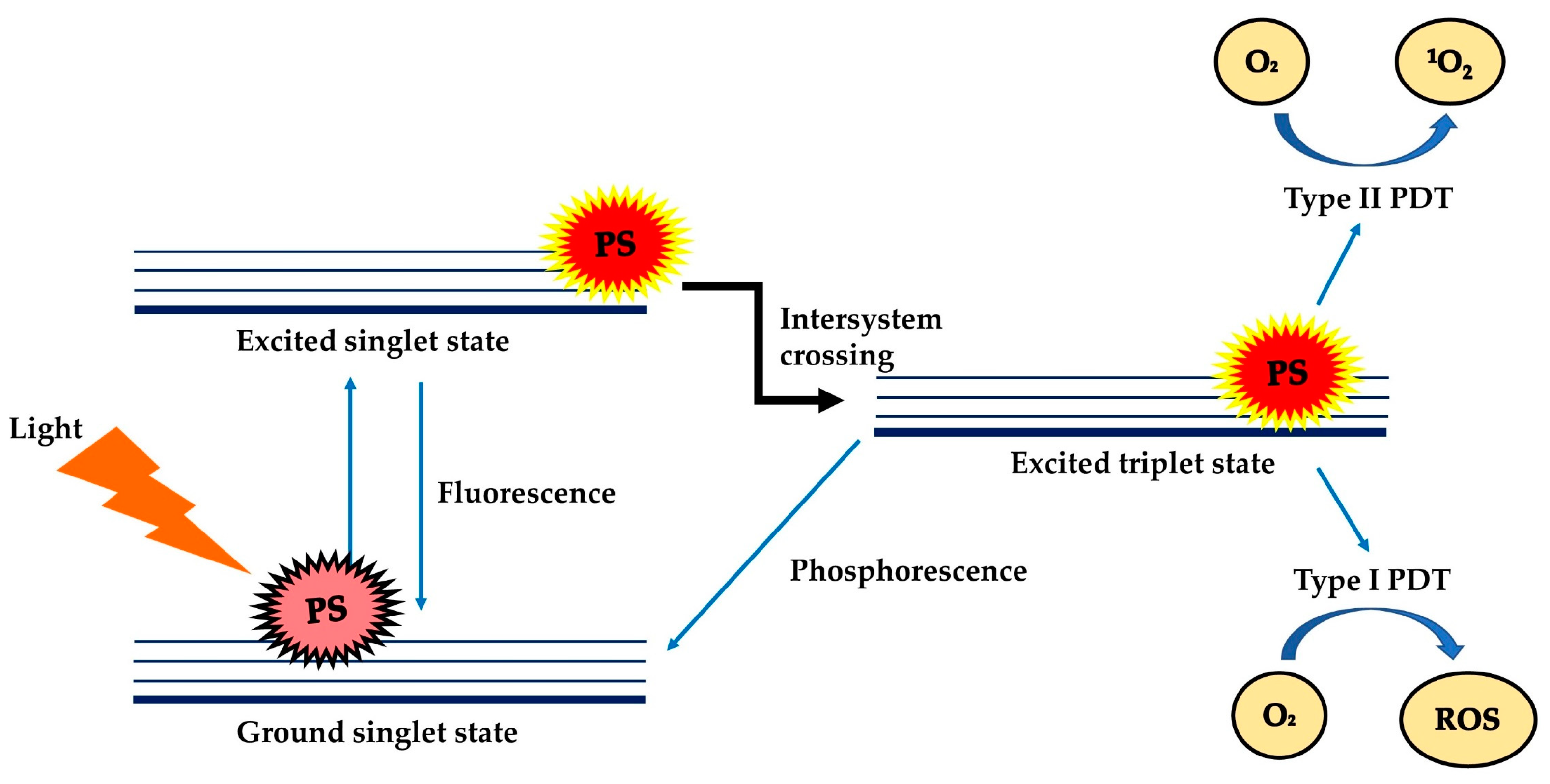 Molecules 25 04176 g001