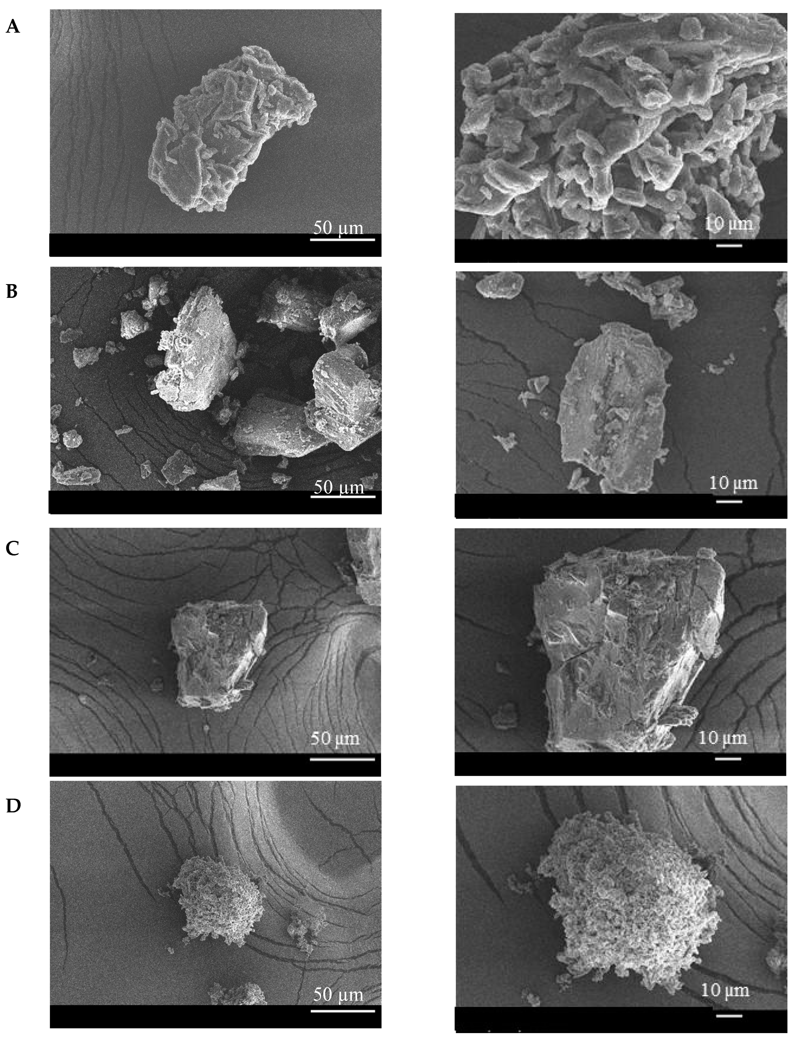 Molecules 25 04181 g005 Molecules 25 04181 g005