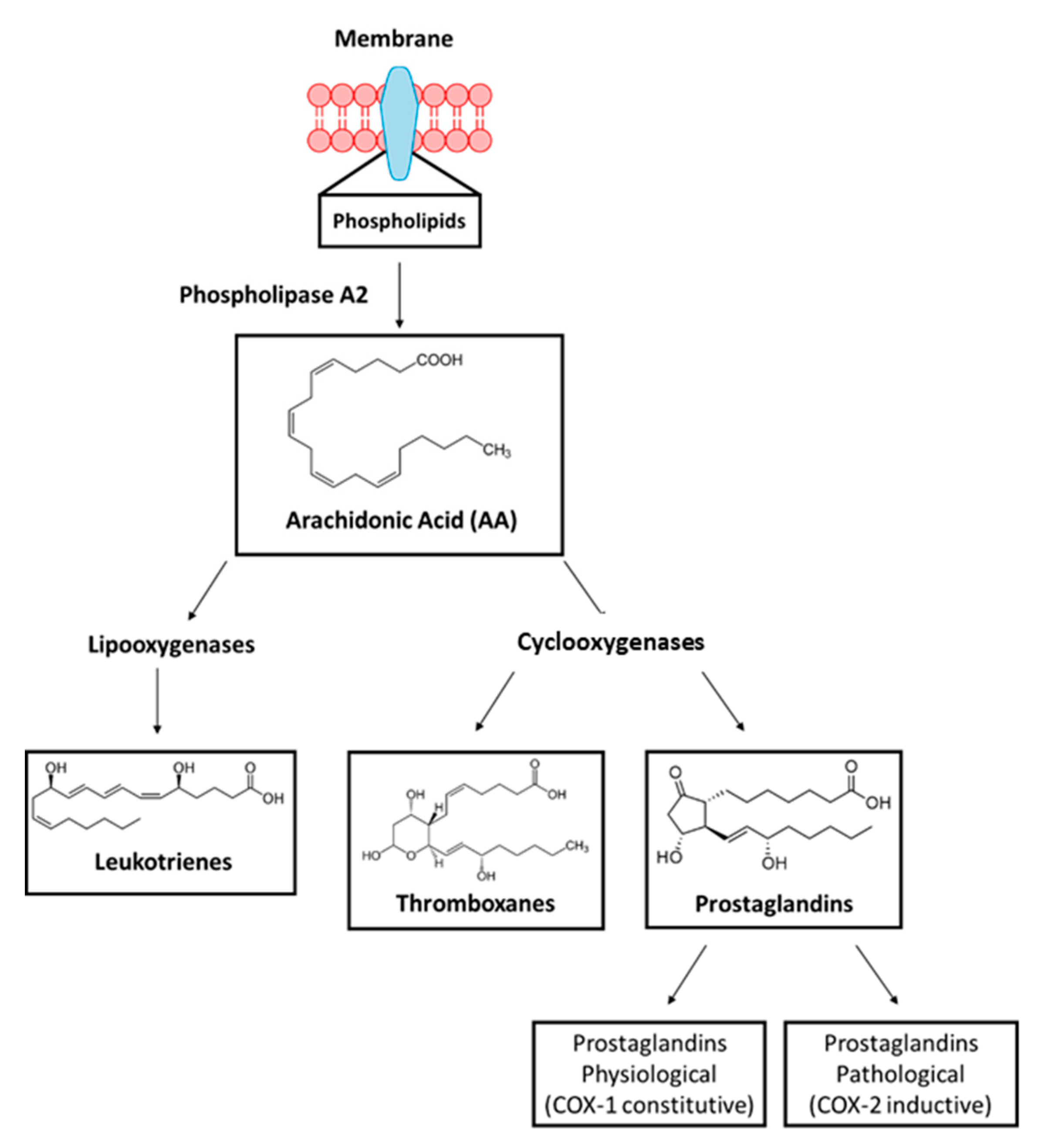 Molecules 25 04183 g001 Molecules 25 04183 g001