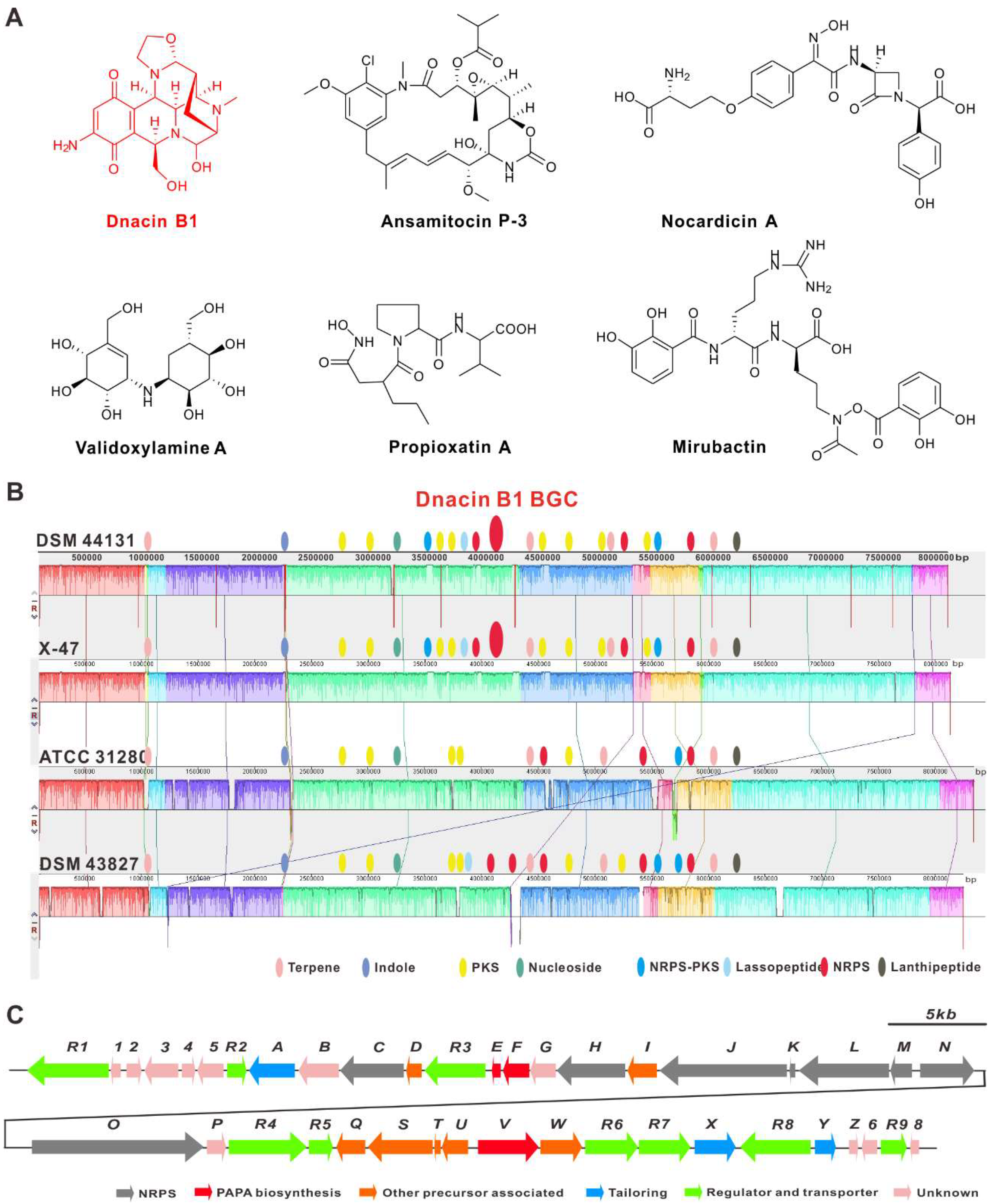 Molecules 25 04186 g001 Molecules 25 04186 g001