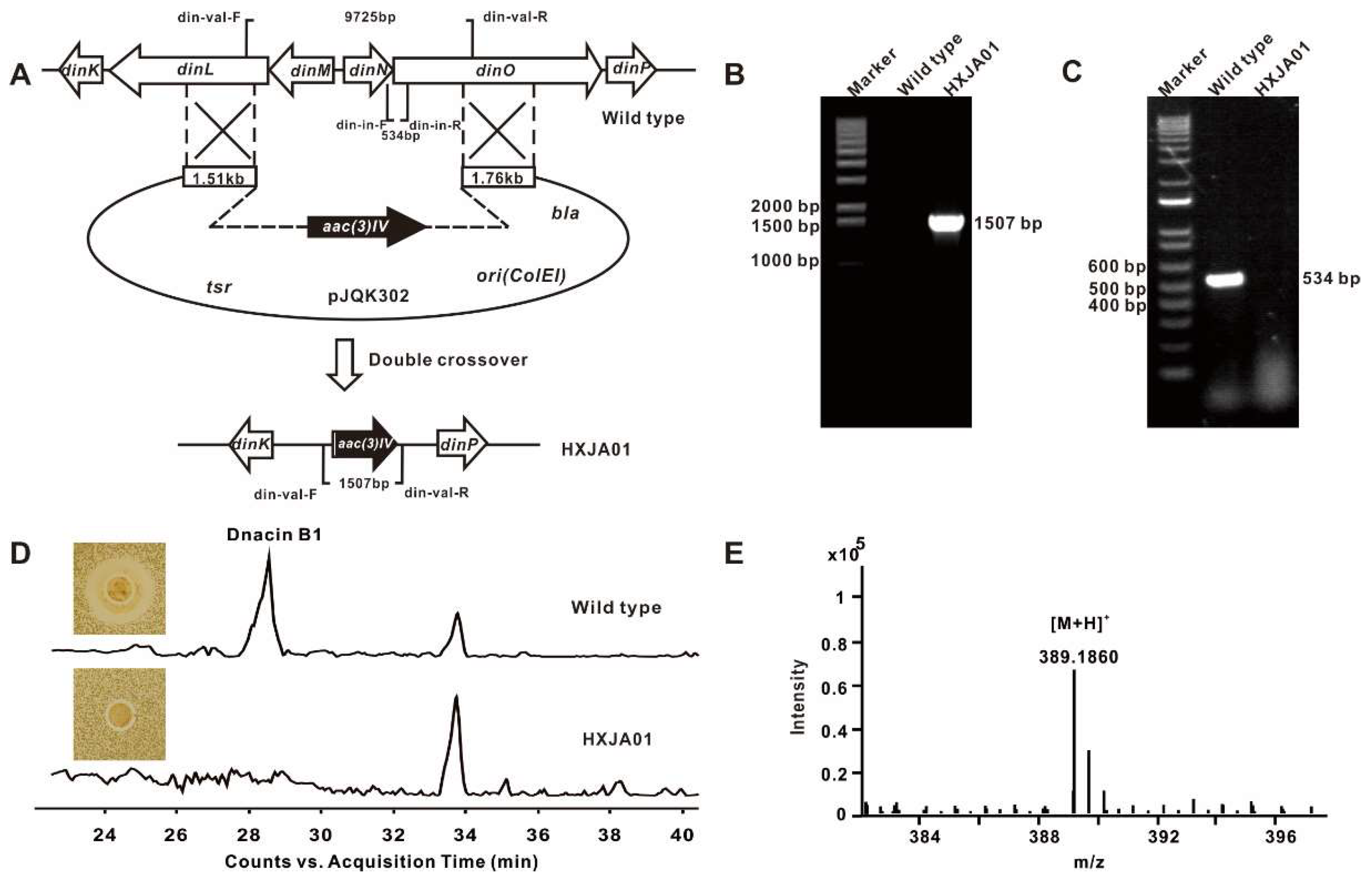 Molecules 25 04186 g002 Molecules 25 04186 g002