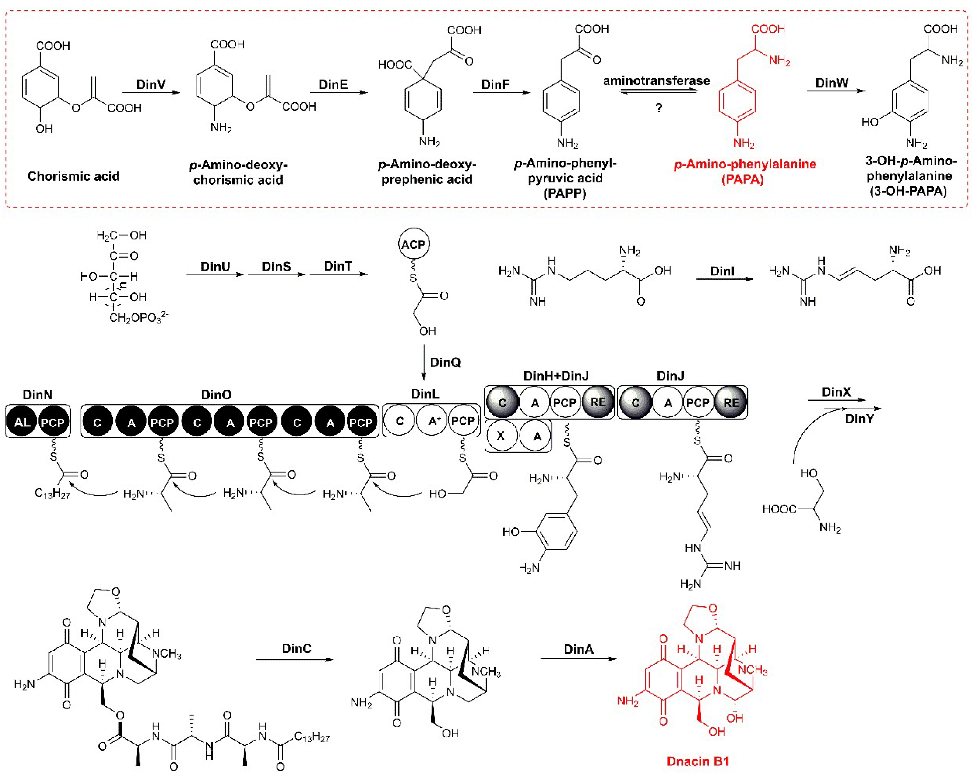 Molecules 25 04186 g003 Molecules 25 04186 g003
