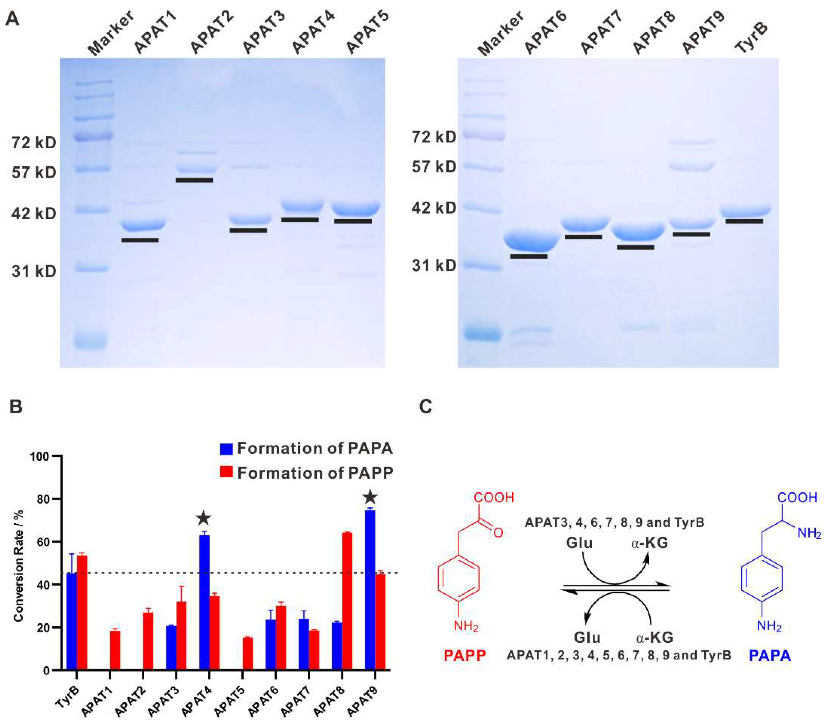 Molecules 25 04186 g005 Molecules 25 04186 g005