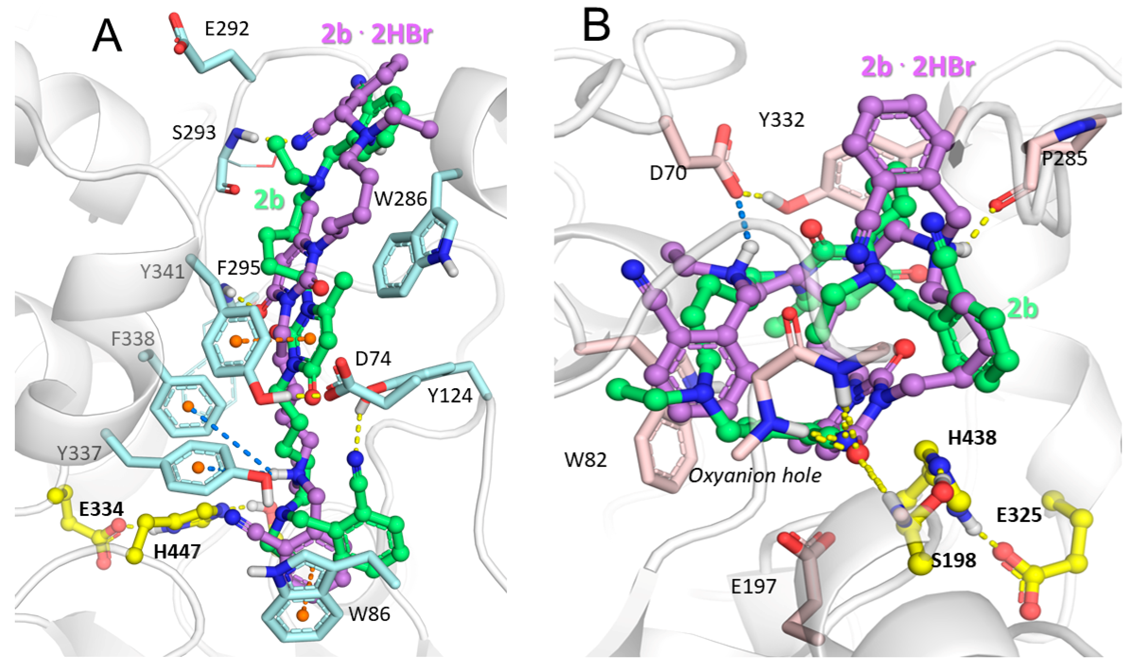 Molecules 25 04191 g002 Molecules 25 04191 g002