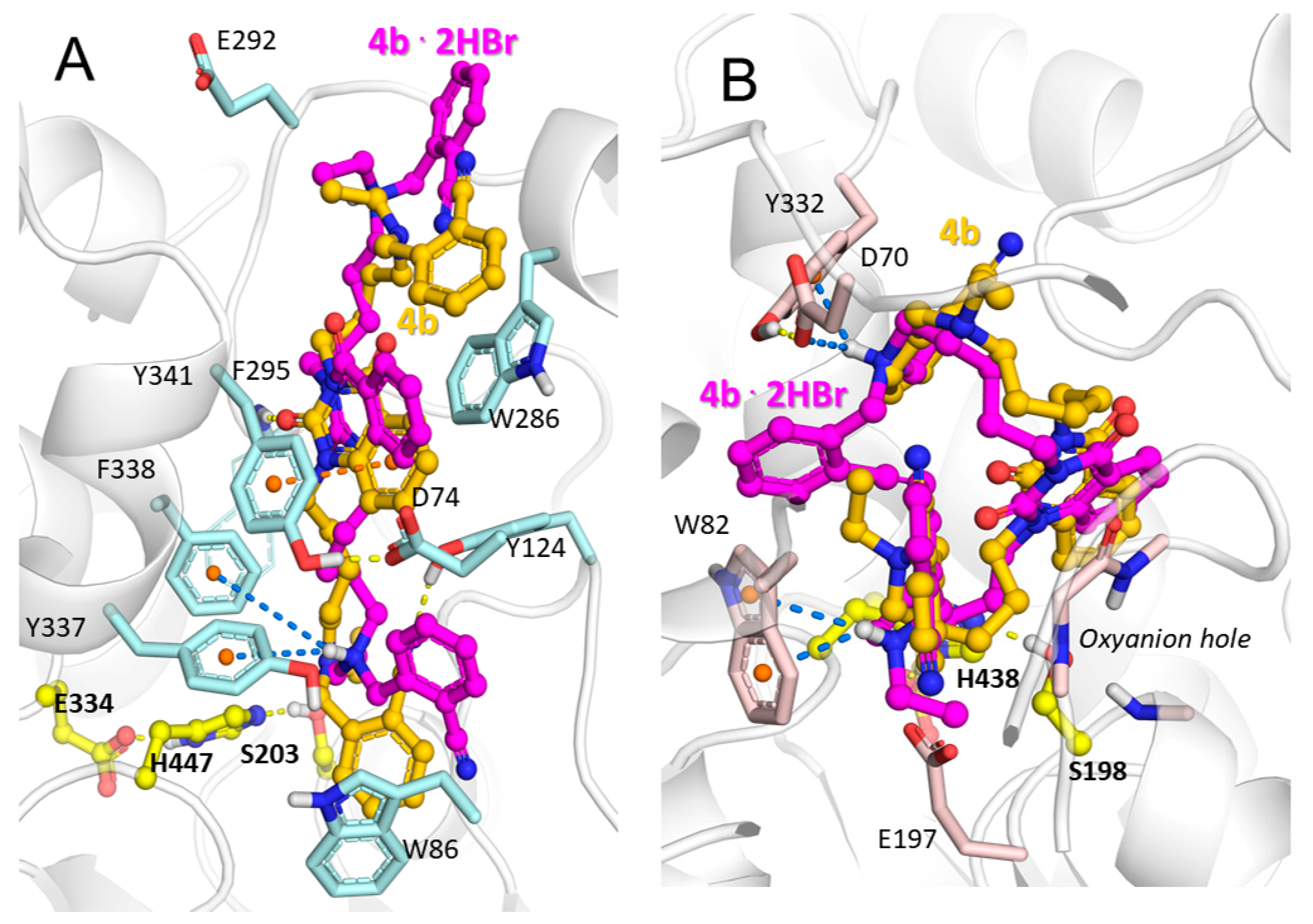 Molecules 25 04191 g003 Molecules 25 04191 g003