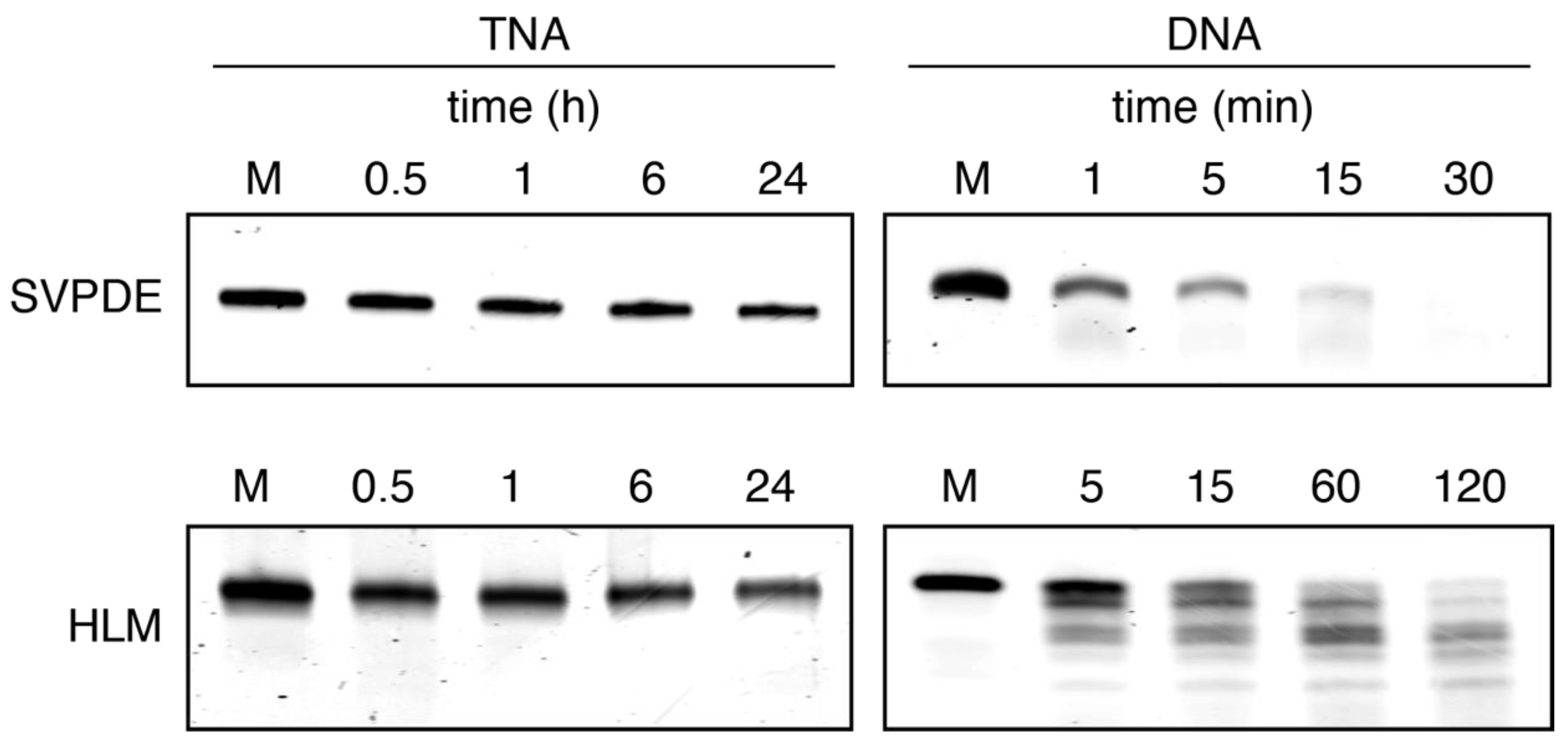Molecules 25 04194 g004